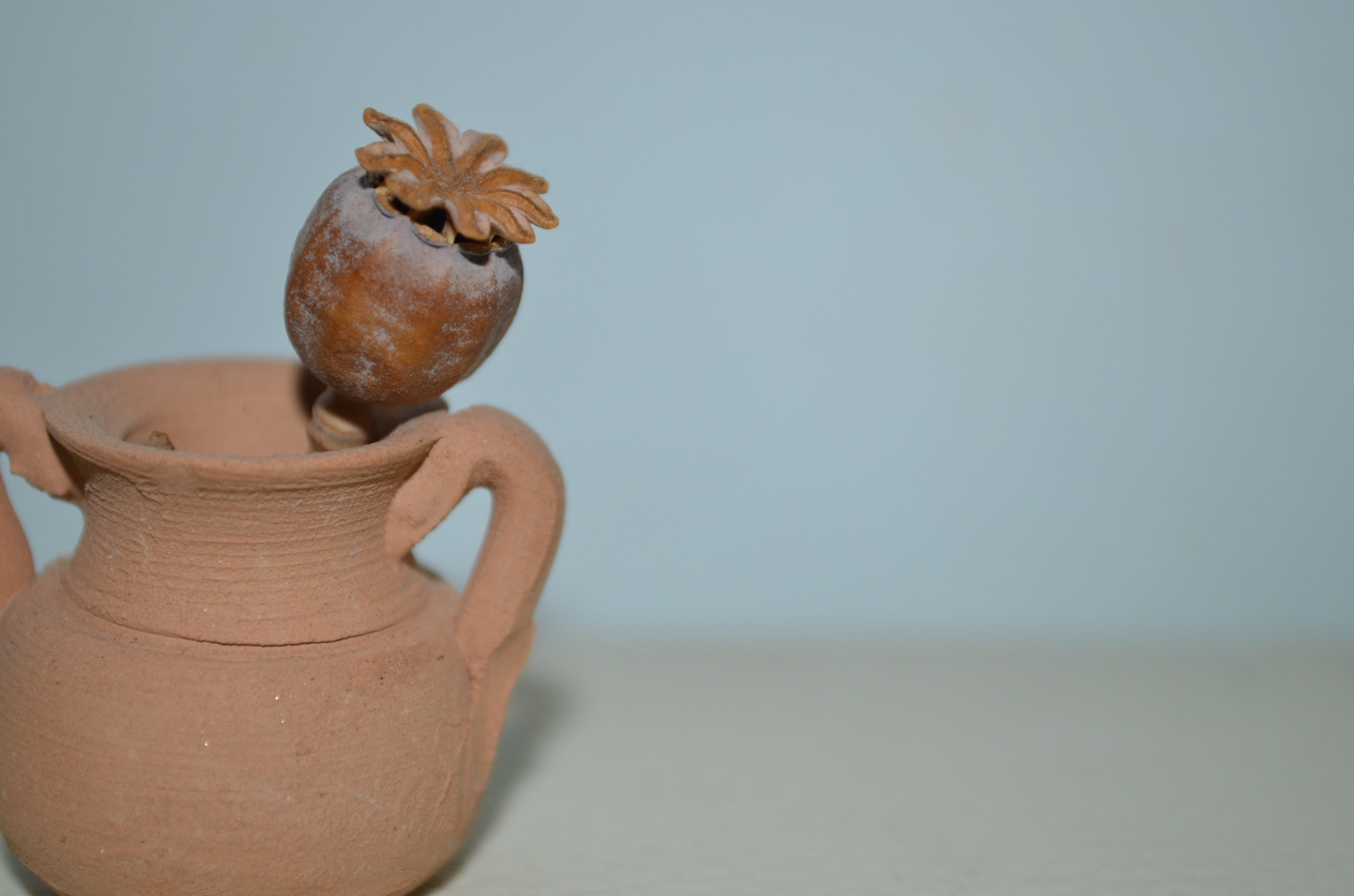 amphora, copy space, single object, pitcher - jug, indoors, craft, colored background, studio shot, nature, dried flowers, brown, antique, 4K, close-up, HD Wallpaper