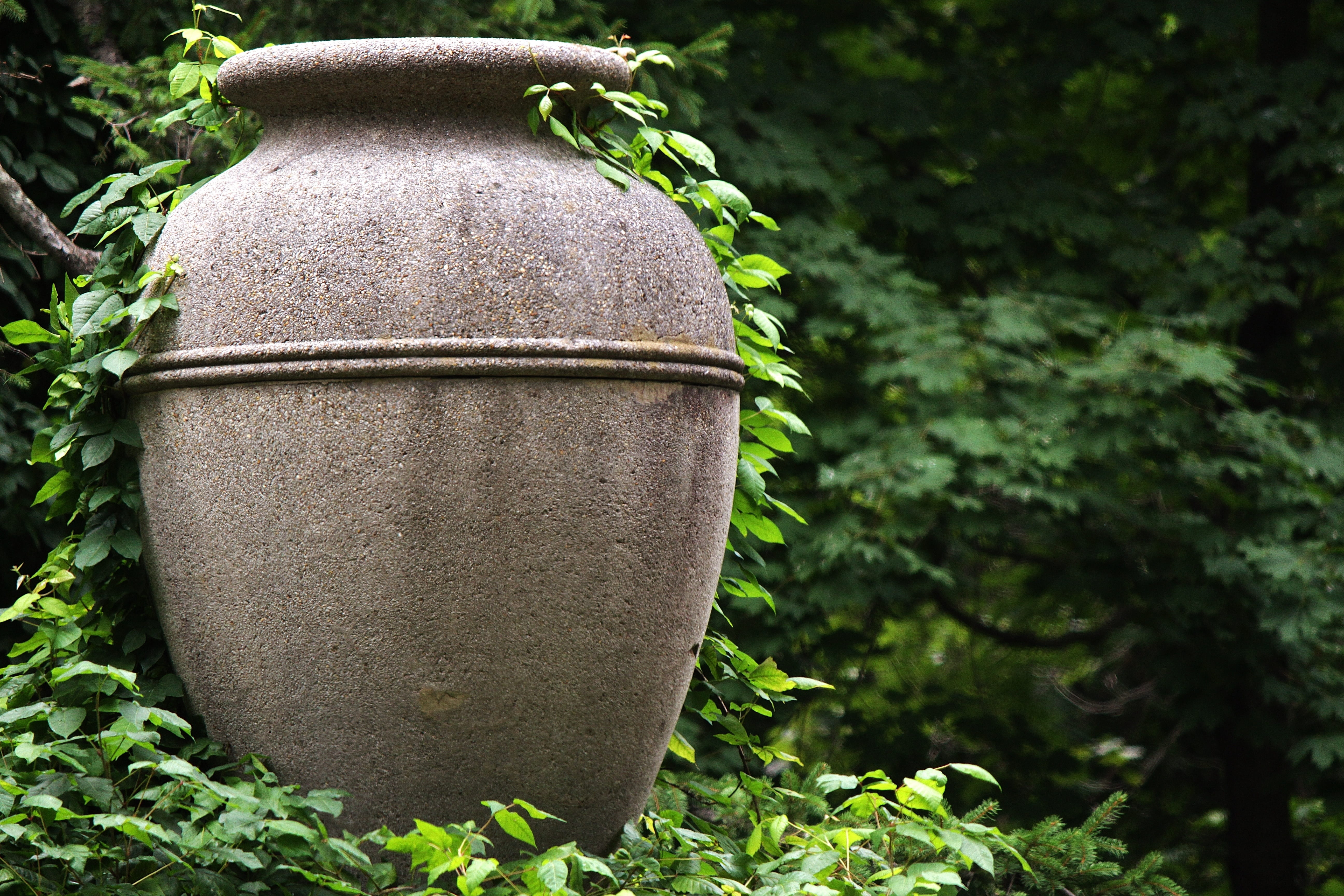 green color, old, plant, outdoors, water bowl, metal, container, close-up, nature, craft, focus on foreground, hanging, clay, art and craft, no people, HD Wallpaper