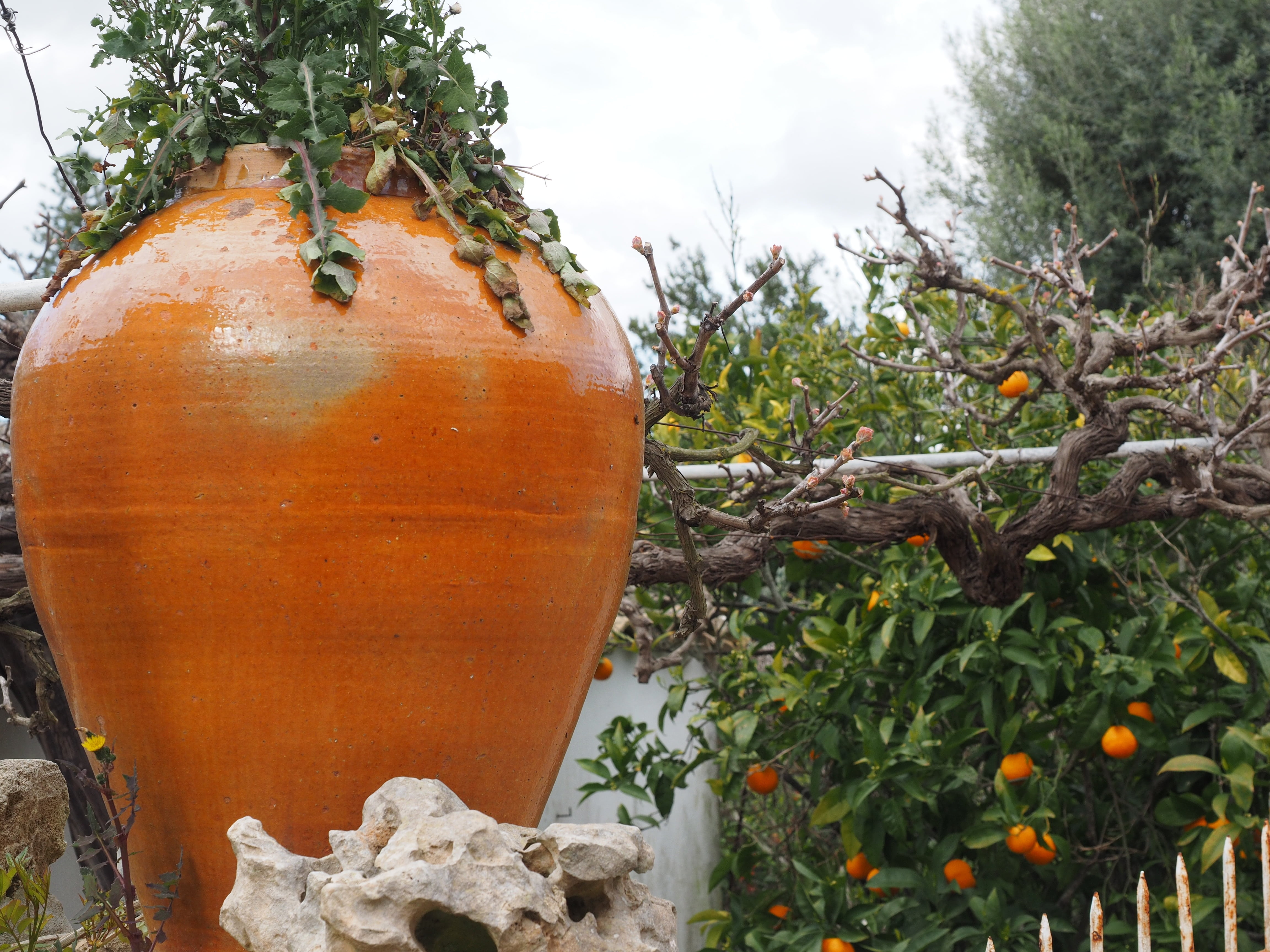 amphora, day, decoration, plant part, fruit, art and craft, orange color, growth, outdoors, plant, 4K, garden decoration, food, food and drink, pumpkin, HD Wallpaper
