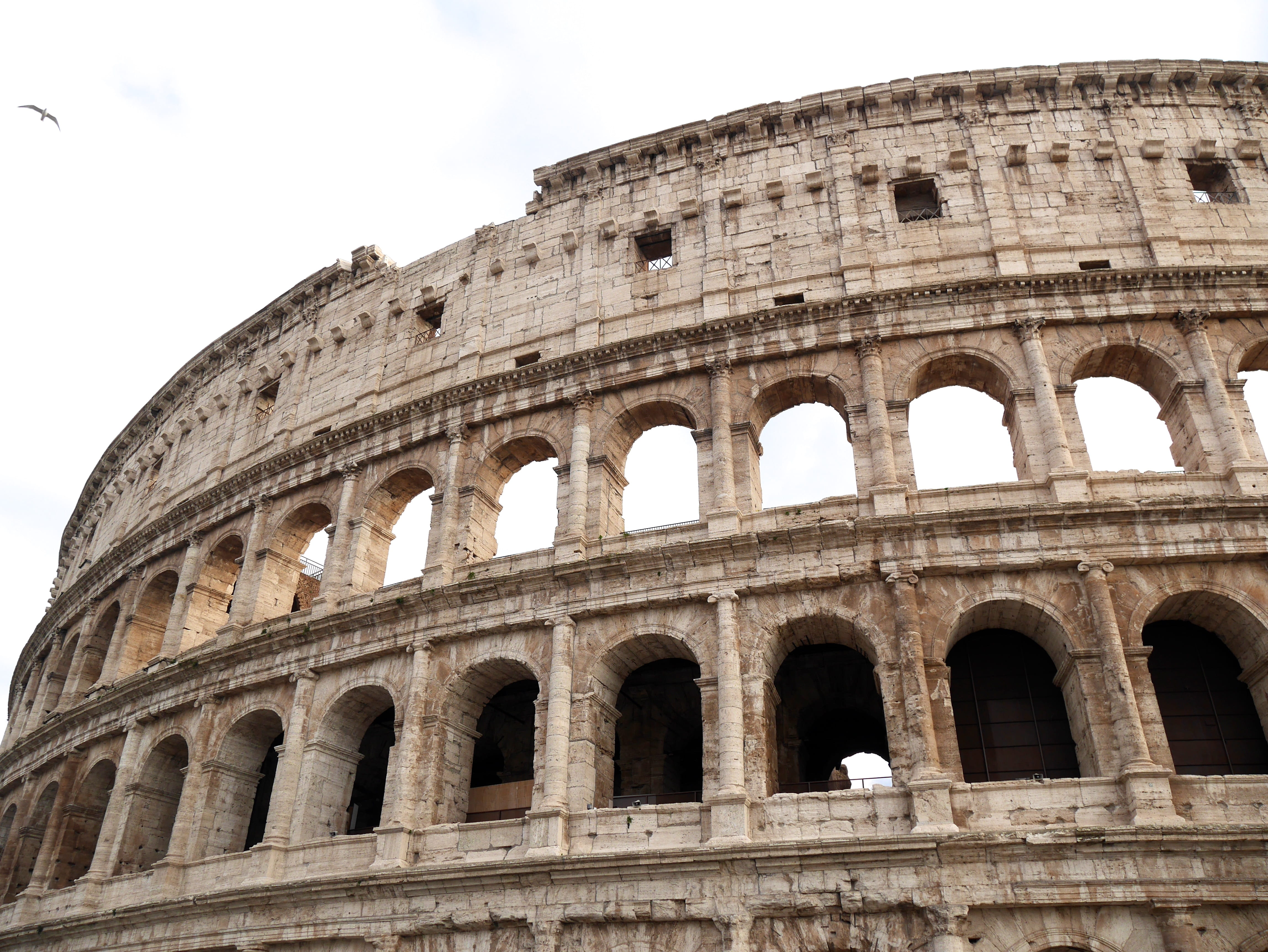 building exterior, parliament, 4K, arched, animal, ruined, castle, nature, bird, colosseum, diamond, accessory, dome, tourism, jewelry, pillar, old ruin, HD Wallpaper