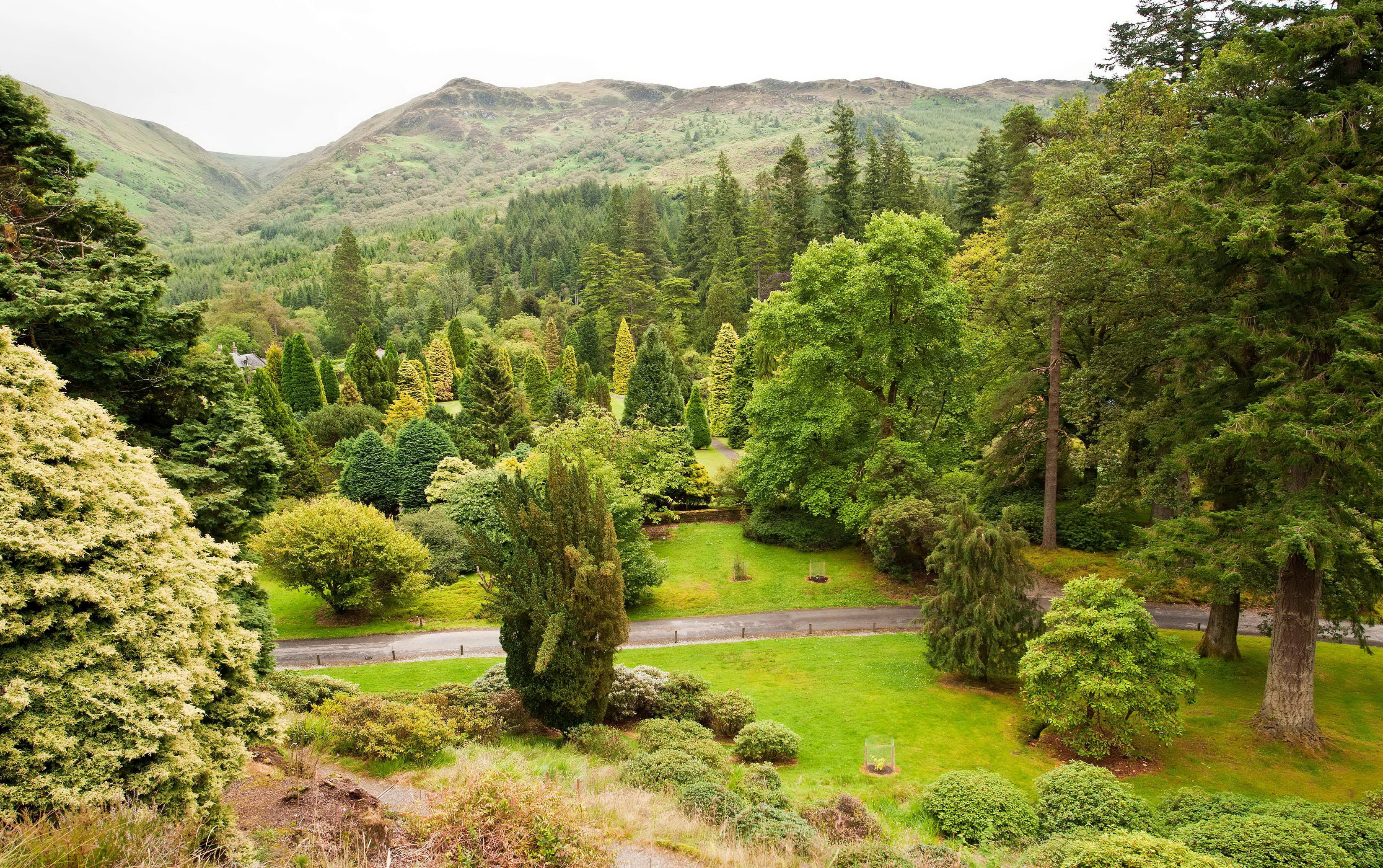 park, shrubs, younger, 2K, botanic, garden, scotland, trees, argyll, nature, (benmore), HD Wallpaper