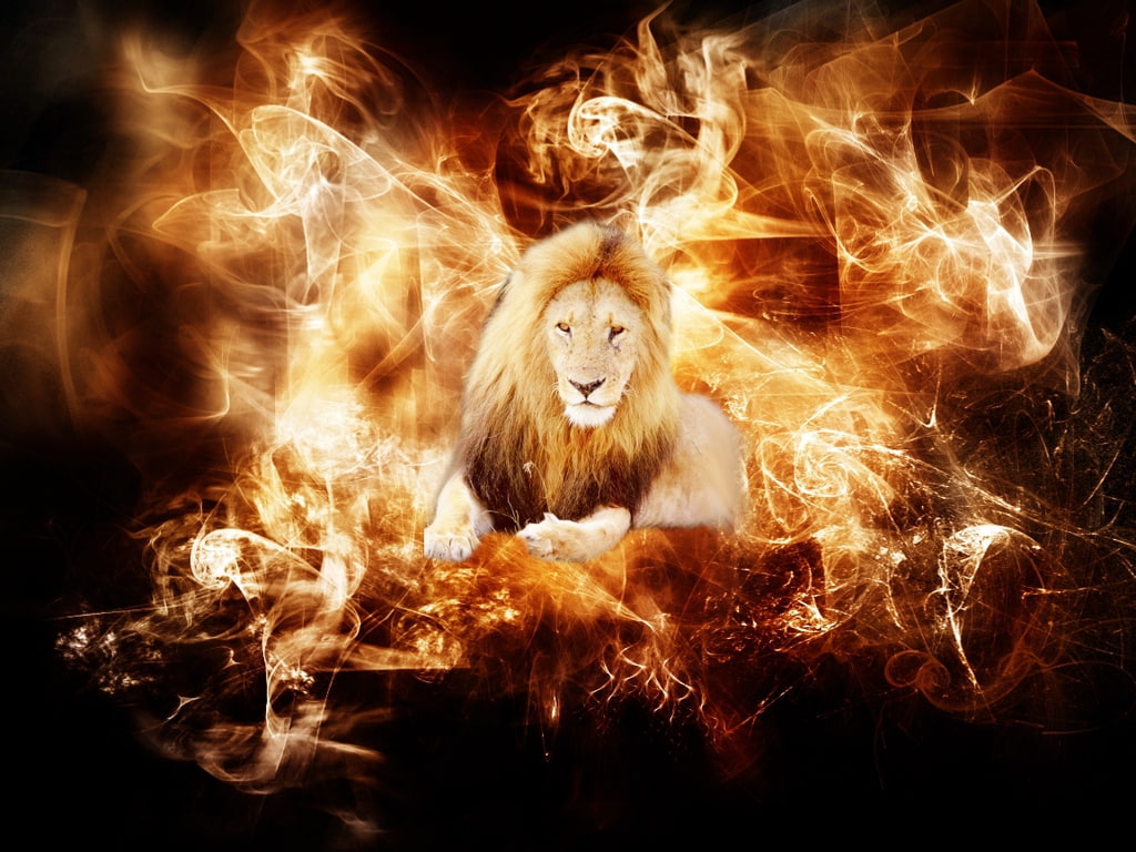 pvp, hd, Flame, art, Hot, animals, cats, red, Fire, 480P, Lion, HD Wallpaper