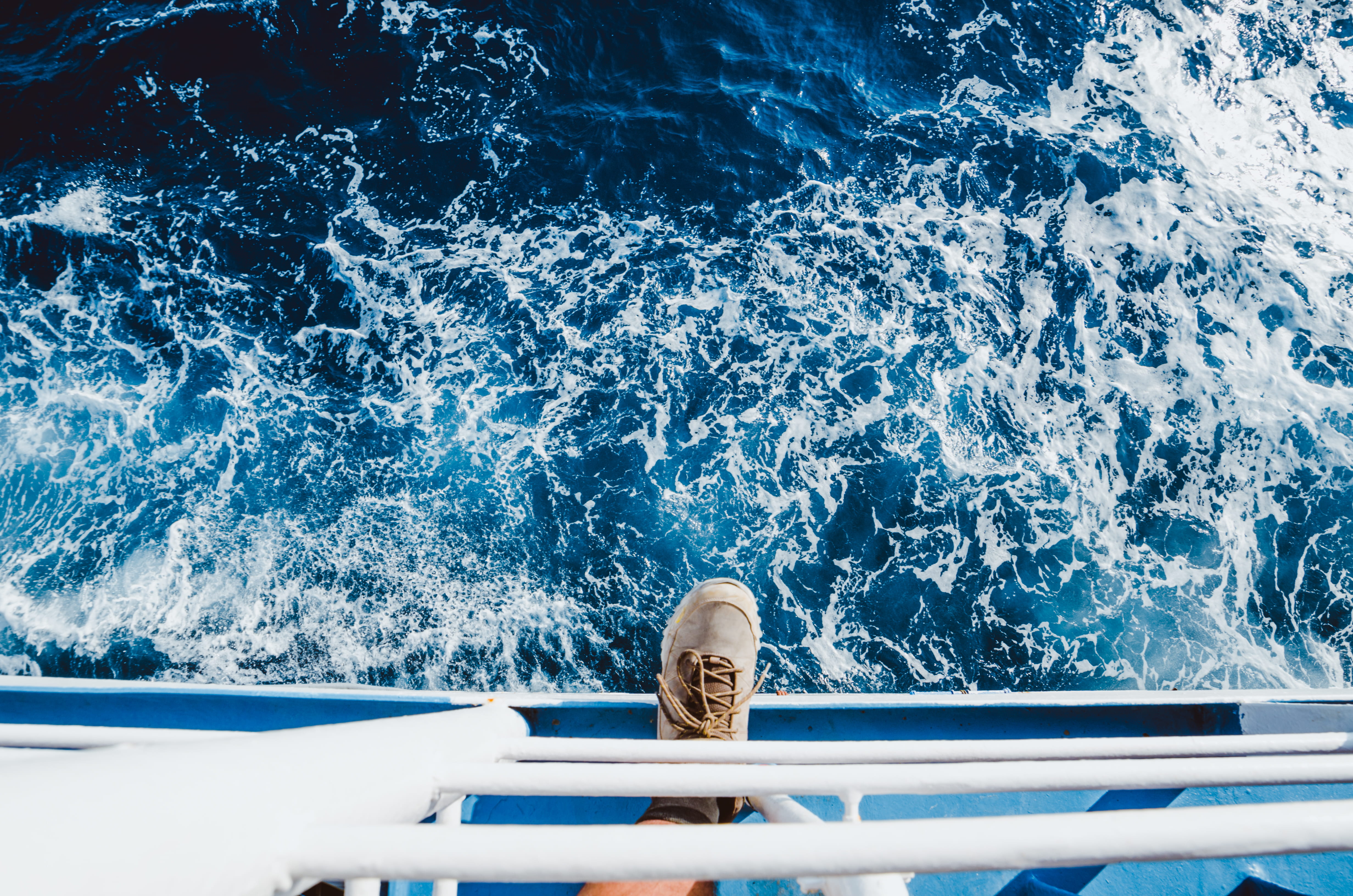 swimming pool, 4K, sea, day, animal, animal wildlife, text, one animal, no people, waterfront, animal themes, splashing, brown, nature, vertebrate, nautical vessel, HD Wallpaper