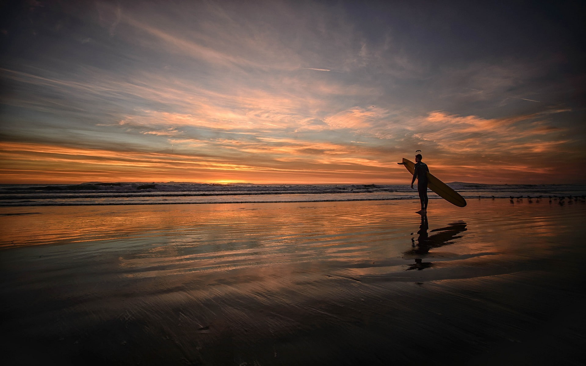 1080P, surfing, HD Wallpaper