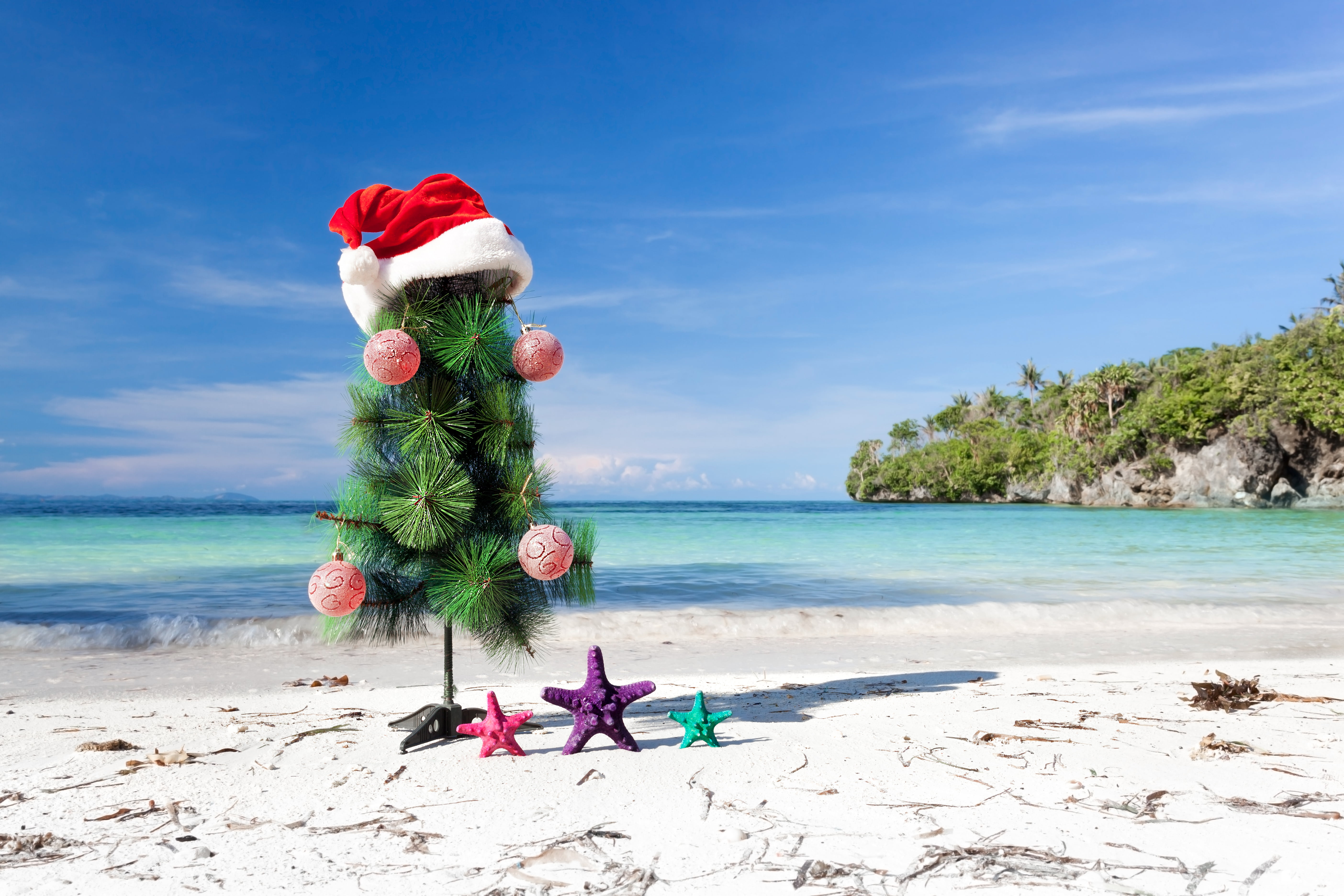 coastline, summer, shell, shore, horizon, winter, nature, island, water, cultures, scenics - nature, land, tranquility, happiness, tropical Climate, colored, HD Wallpaper