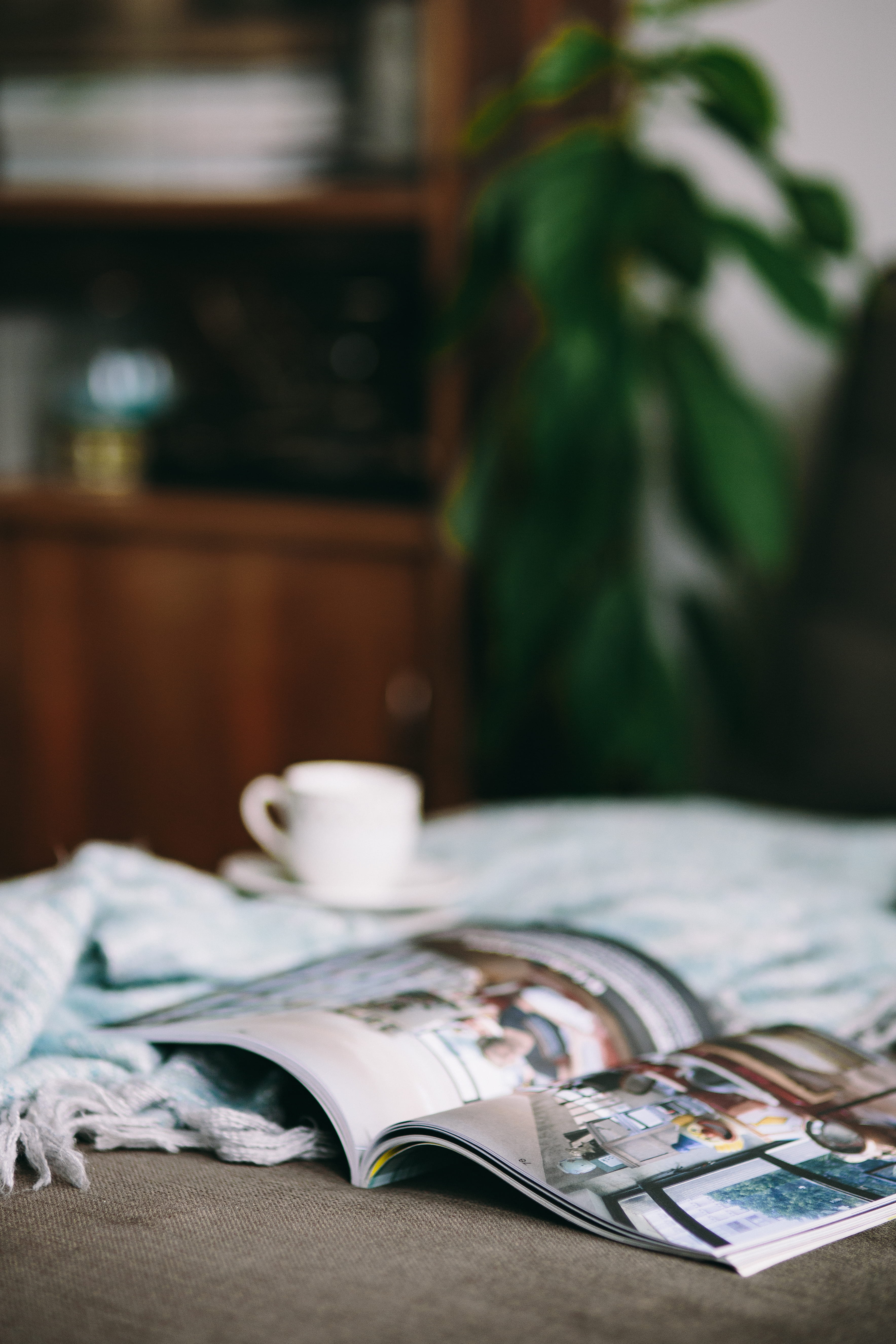 paper, puppy, read, mug, relaxing, cup, 5K, bed, furniture, selective focus, book, chaise longue, open, publication, crockery, focus on foreground, relax, Phone HD Wallpaper