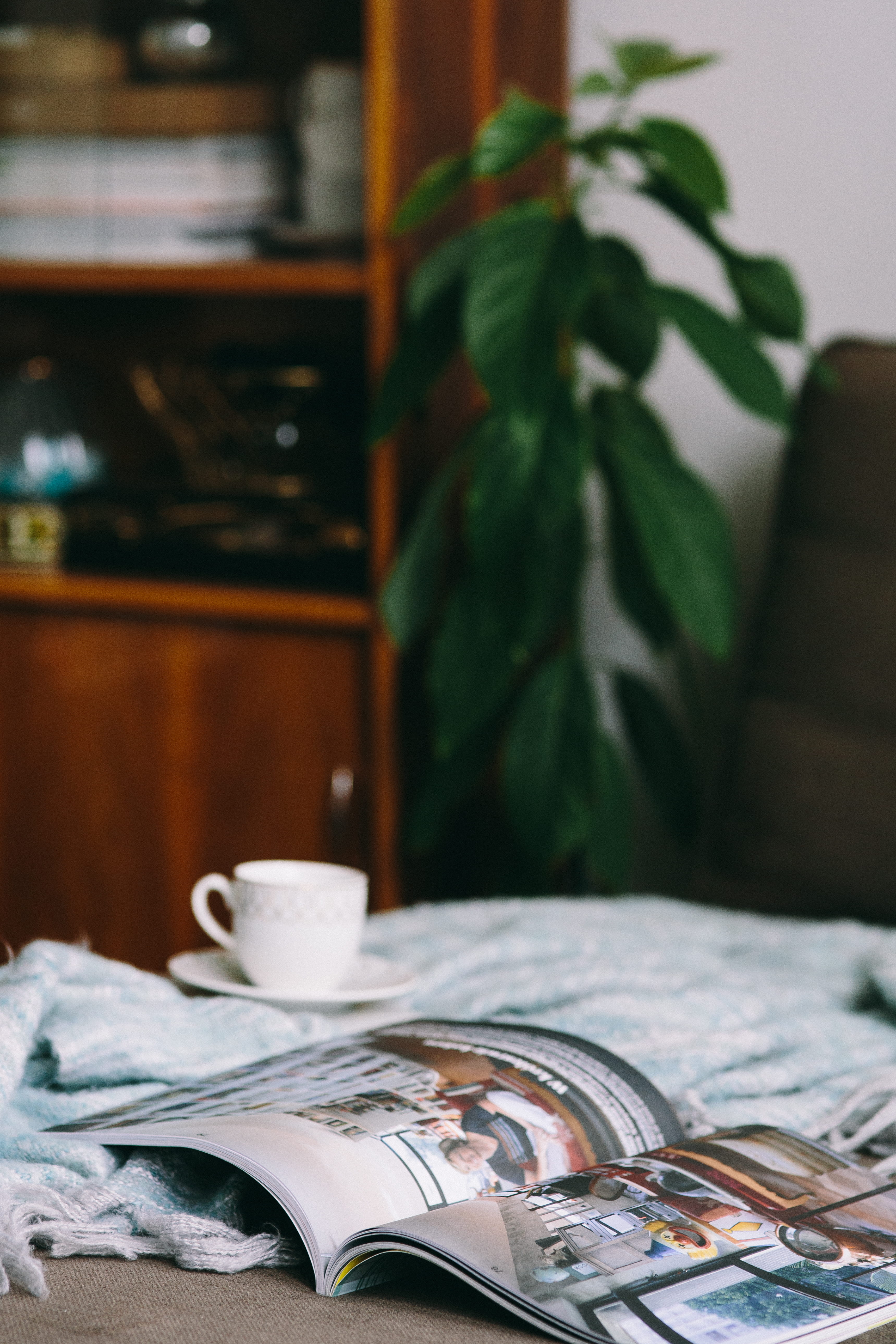 book, newspaper, indoors, paper, puppy, selective focus, interior, cup, furniture, household equipment, publication, glass, cute, still life, time, food and drink, Phone HD Wallpaper