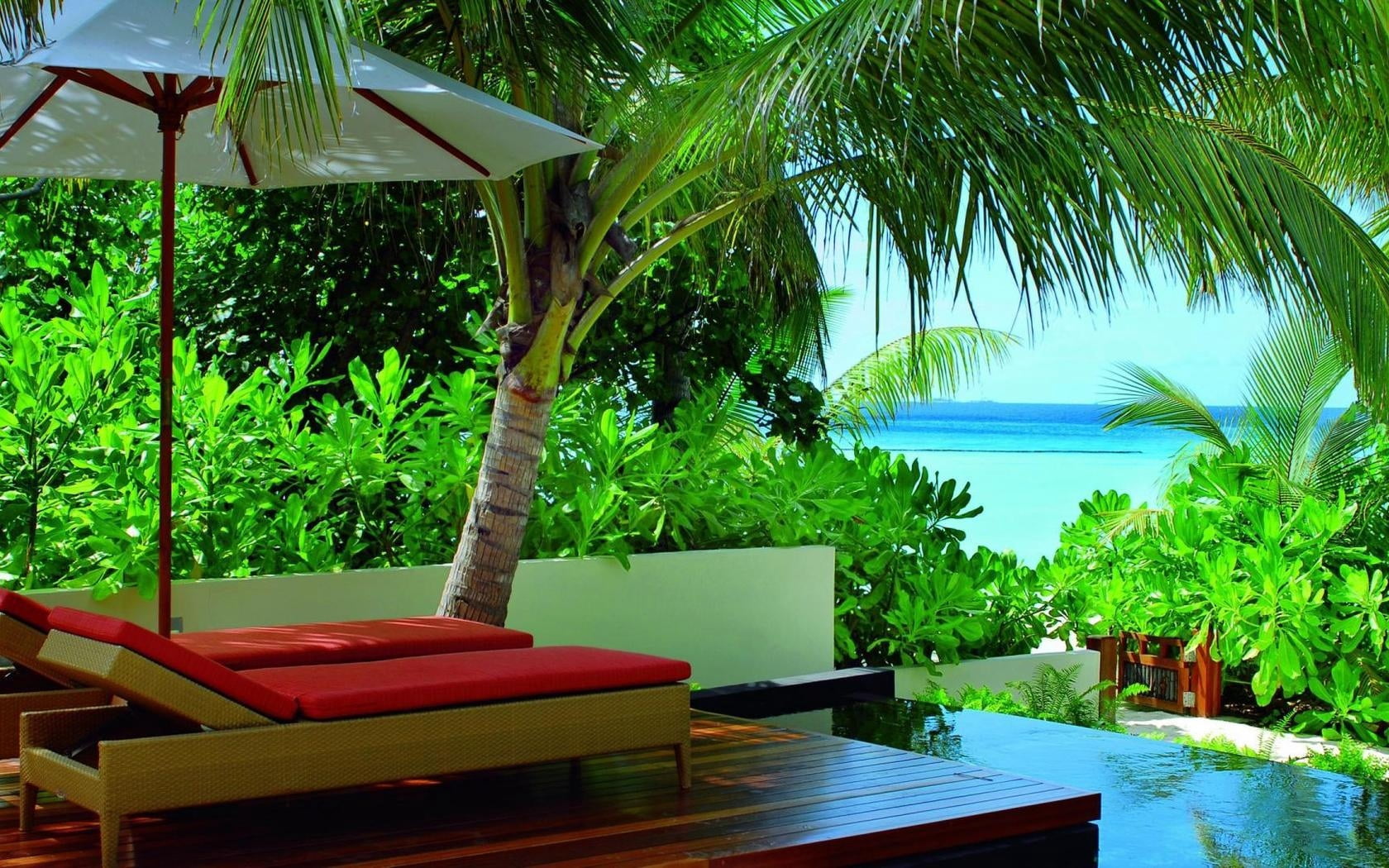 tree, seascape, travel Destinations, sunlight, chaise lounge, lifestyles, coastline, brown, blue, resort, chairs, beach, absence, lounge, travel, maldives, HD Wallpaper