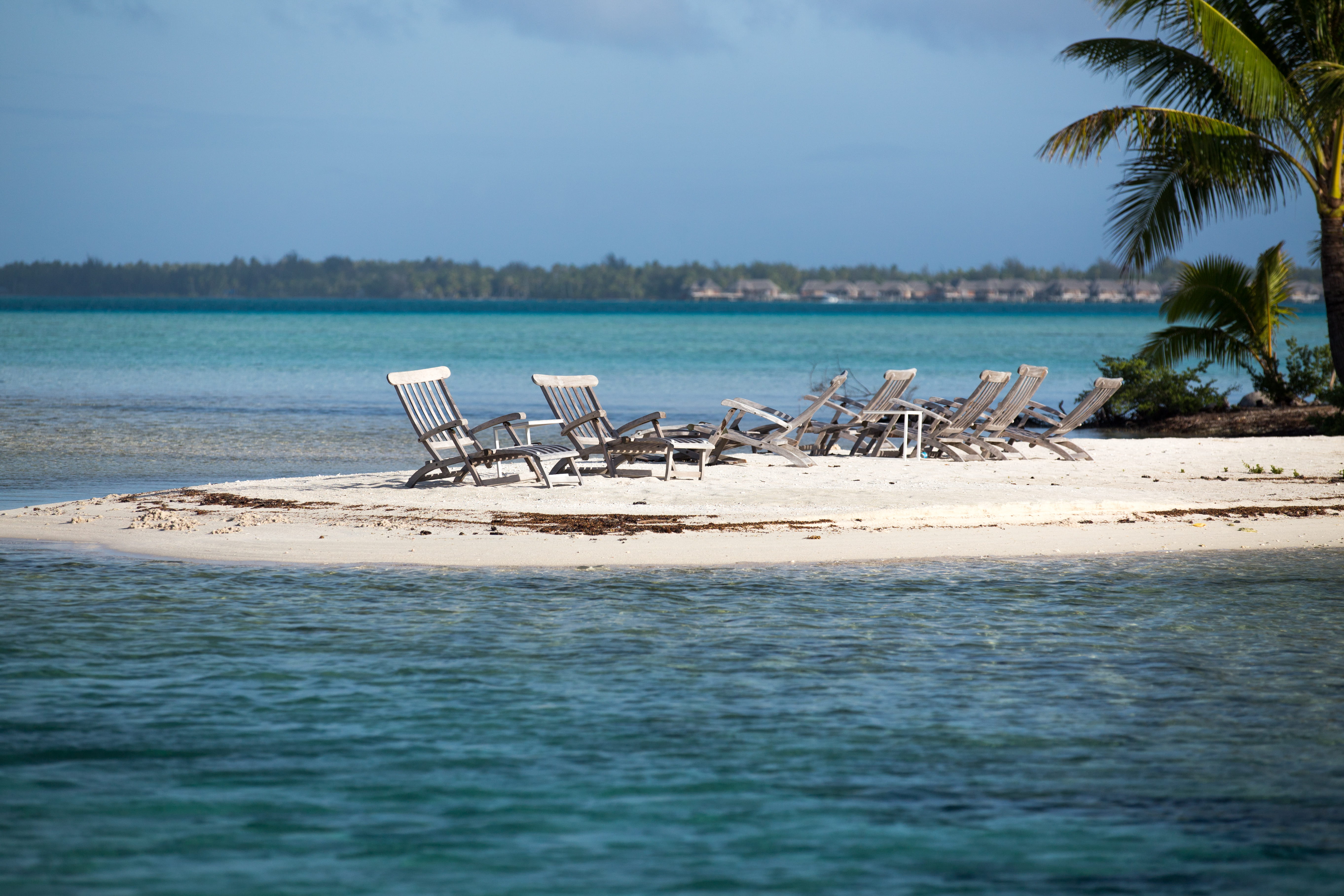 outdoors, chaise, beauty in nature, island, water, chair, tranquility, pool, tropical climate, sand, 5K, palm tree, plant, gray, coconut palm tree, no people, HD Wallpaper