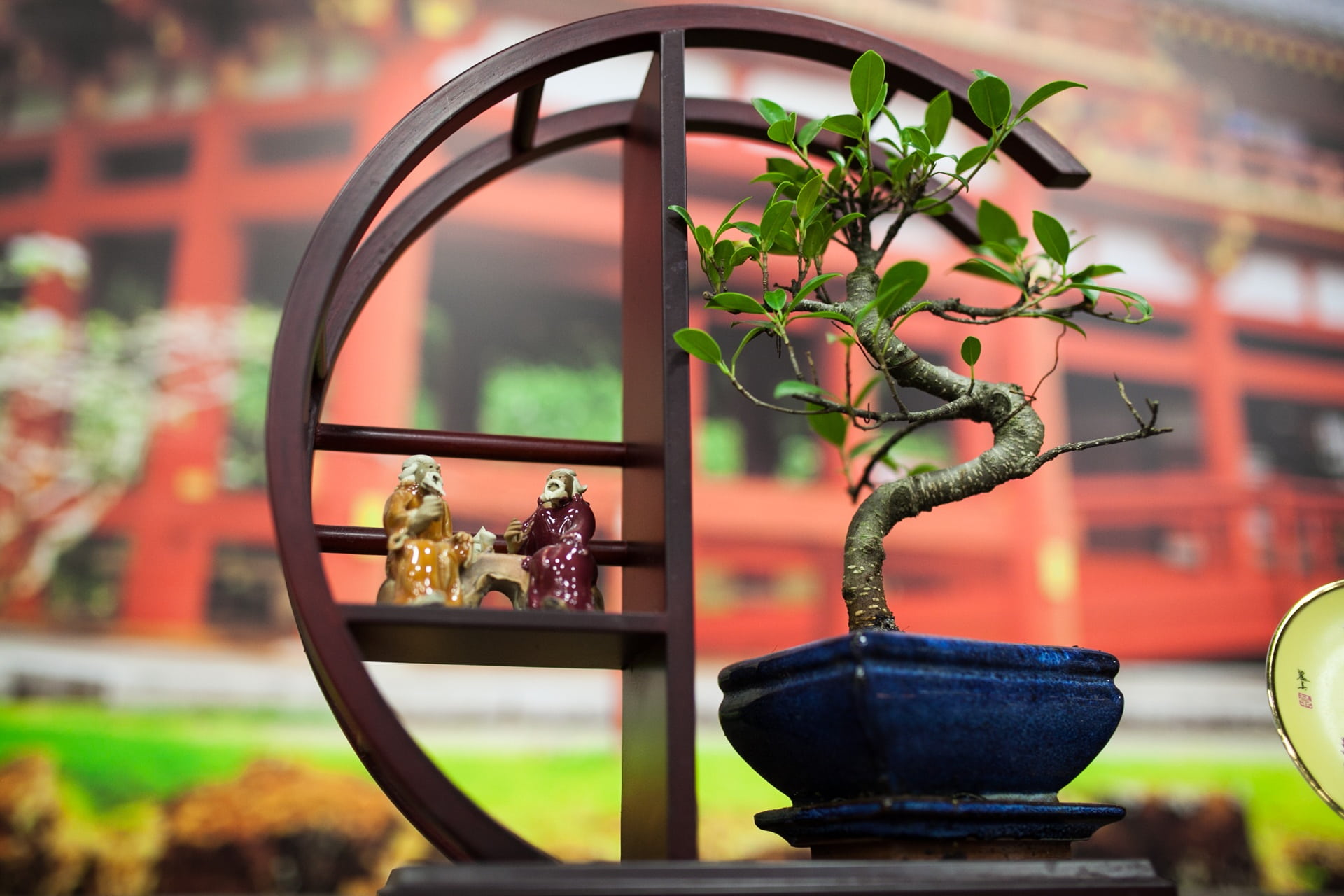 glass - material, potted plant, table, art and craft, outdoors, flower pot, architecture, bonsai, plant, leafed, focus on foreground, day, close-up, leaf, HD Wallpaper