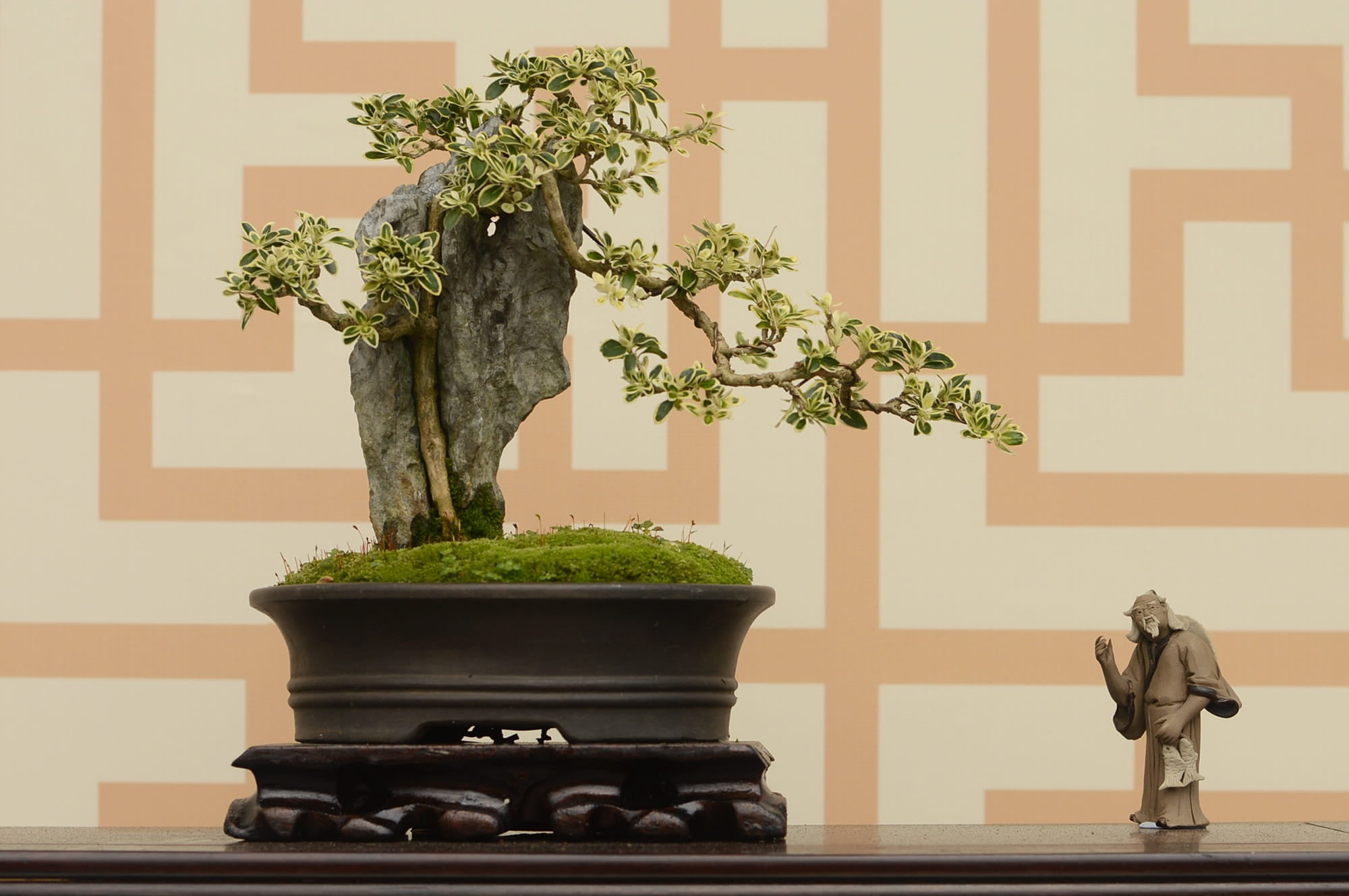 female likeness, flower pot, home interior, architecture, day, sculpture, ancient wind, bonsai tree, gardening, nature, male likeness, 1080P, tree, human representation, HD Wallpaper