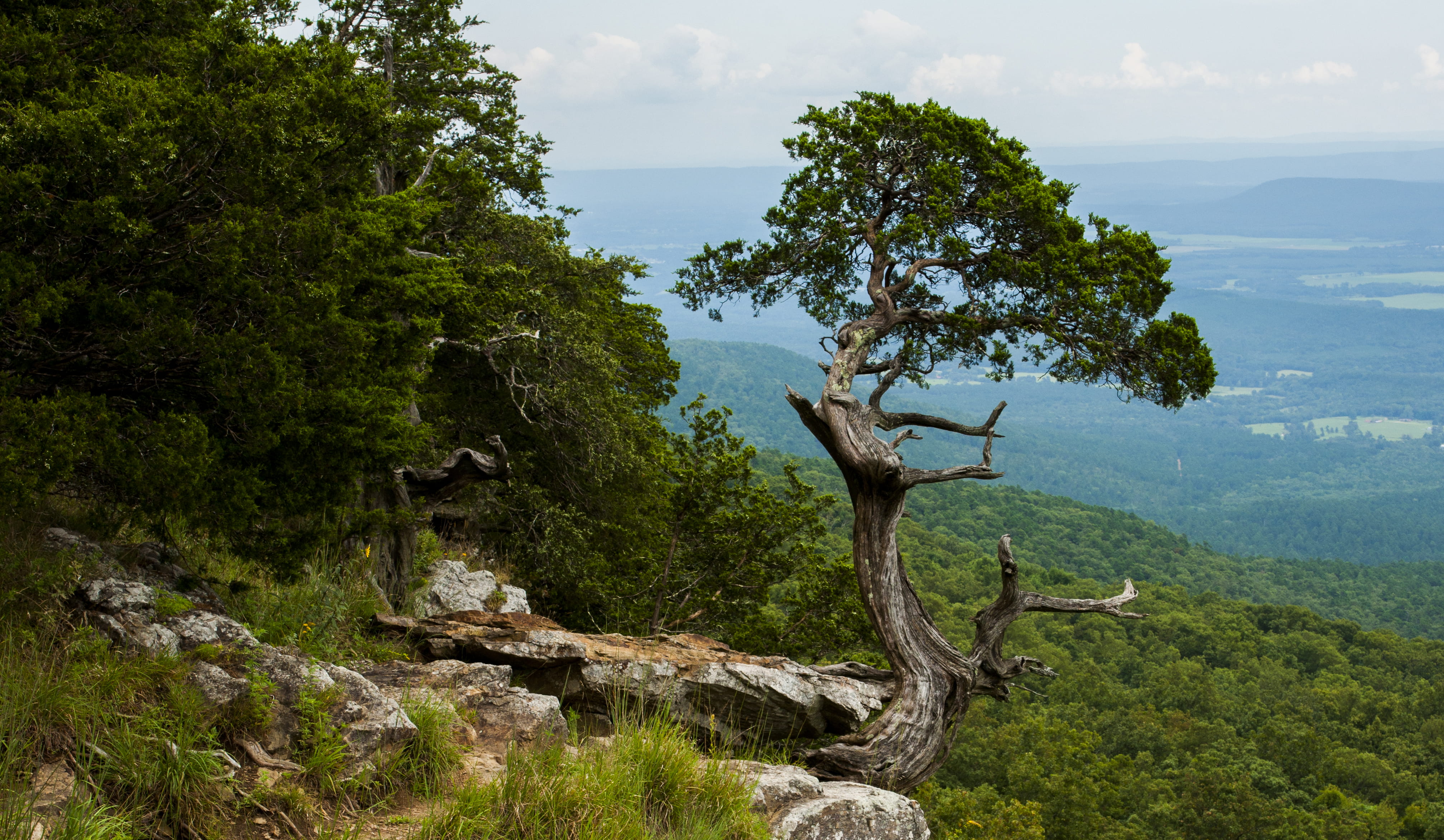 cloud - sky, sea, growth, mountain, tree, non-urban scene, tranquil scene, idyllic, 4K, land, green color, withered, bonsai, united states, magazine mountain, HD Wallpaper