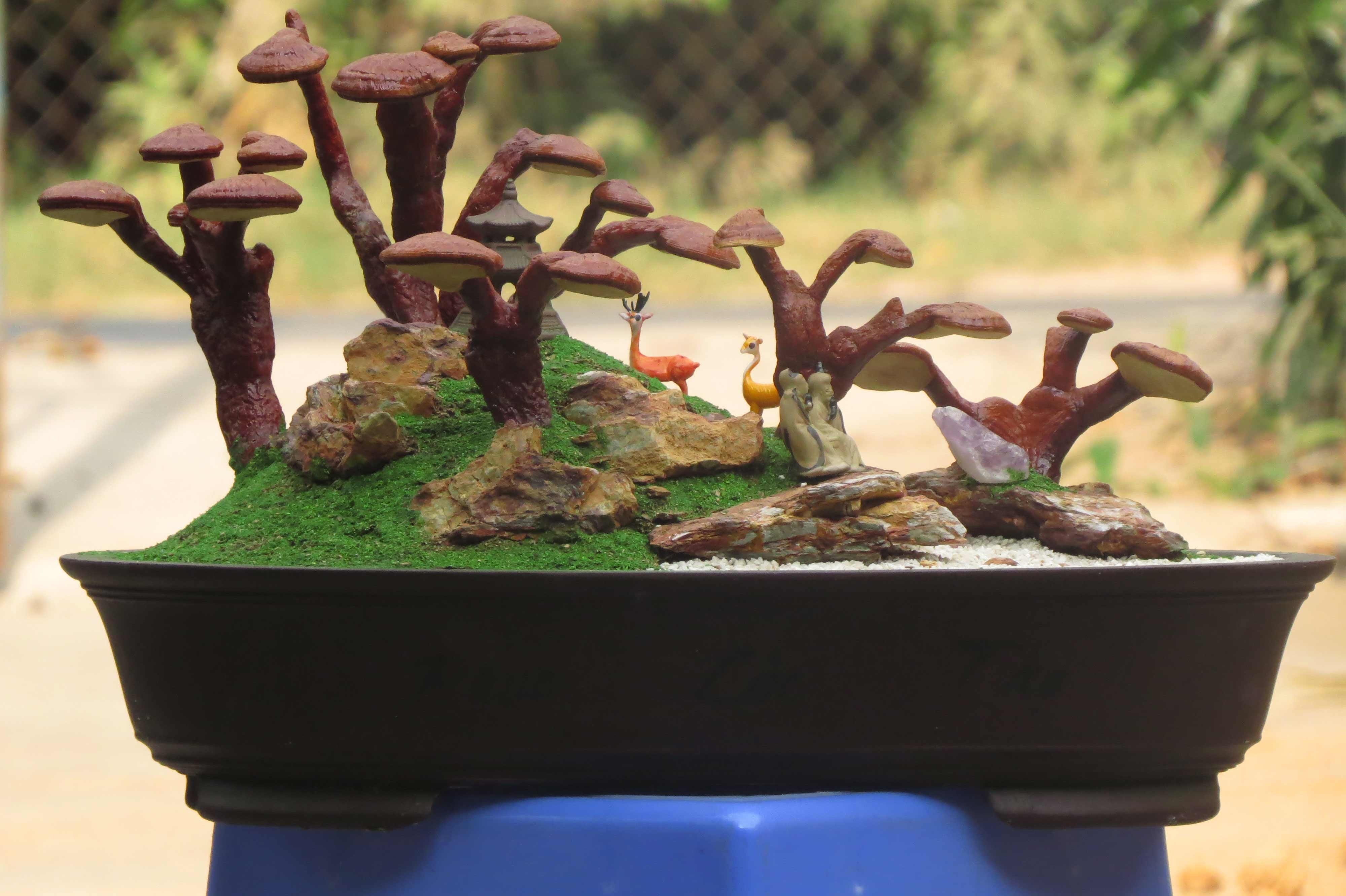 rusty, green color, plant stem, ganoderma lucidum land scape, land, nature, selective focus, linhzi bonsai, tree, no people, old, reishi landscape, weathered, HD Wallpaper