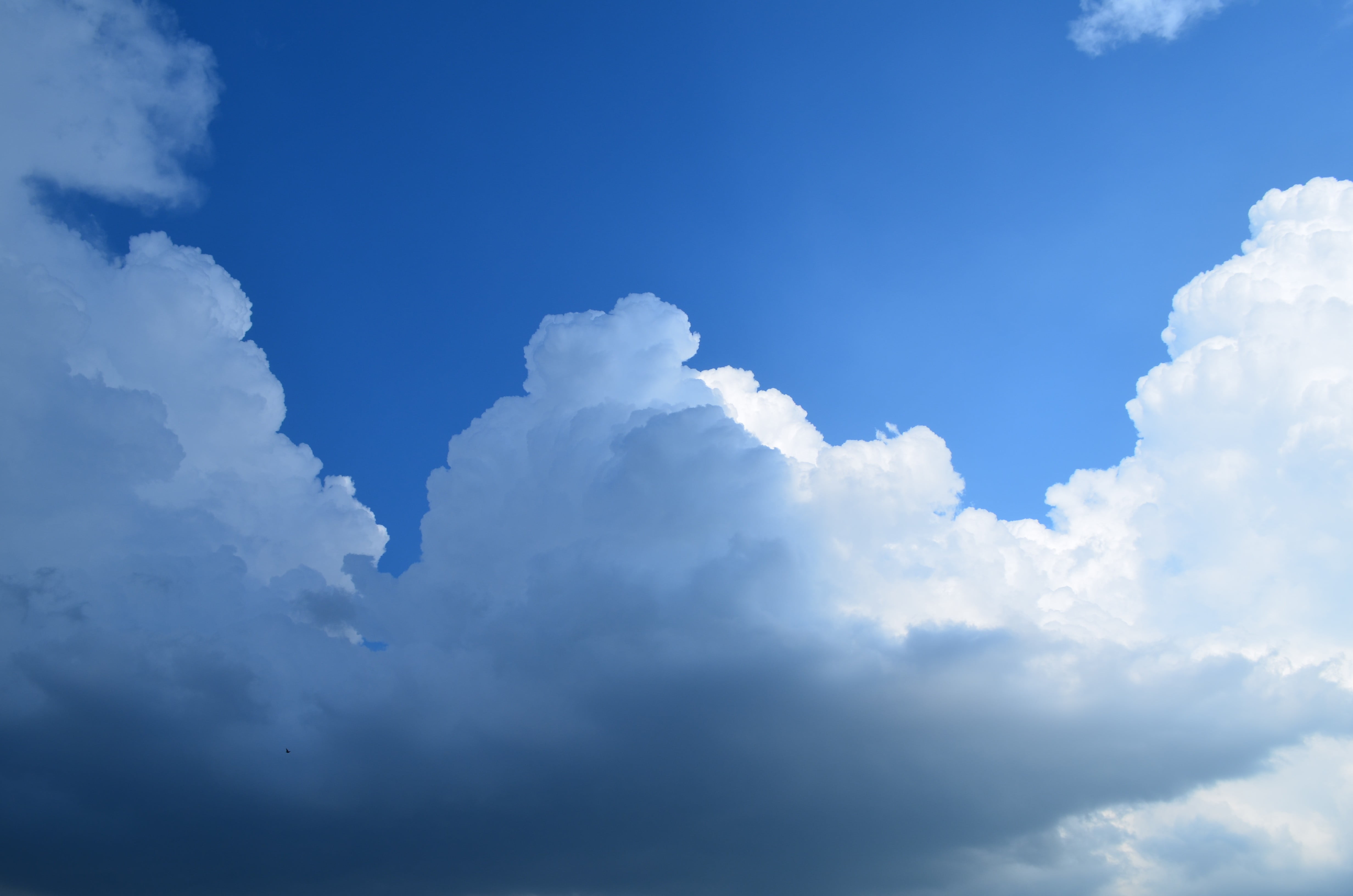 nature, white, non-urban scene, cloudscape, tranquility, 4K, backgrounds, scenics - nature, day, ceramic, sky, cloud - sky, outdoors, birds, low angle view, HD Wallpaper