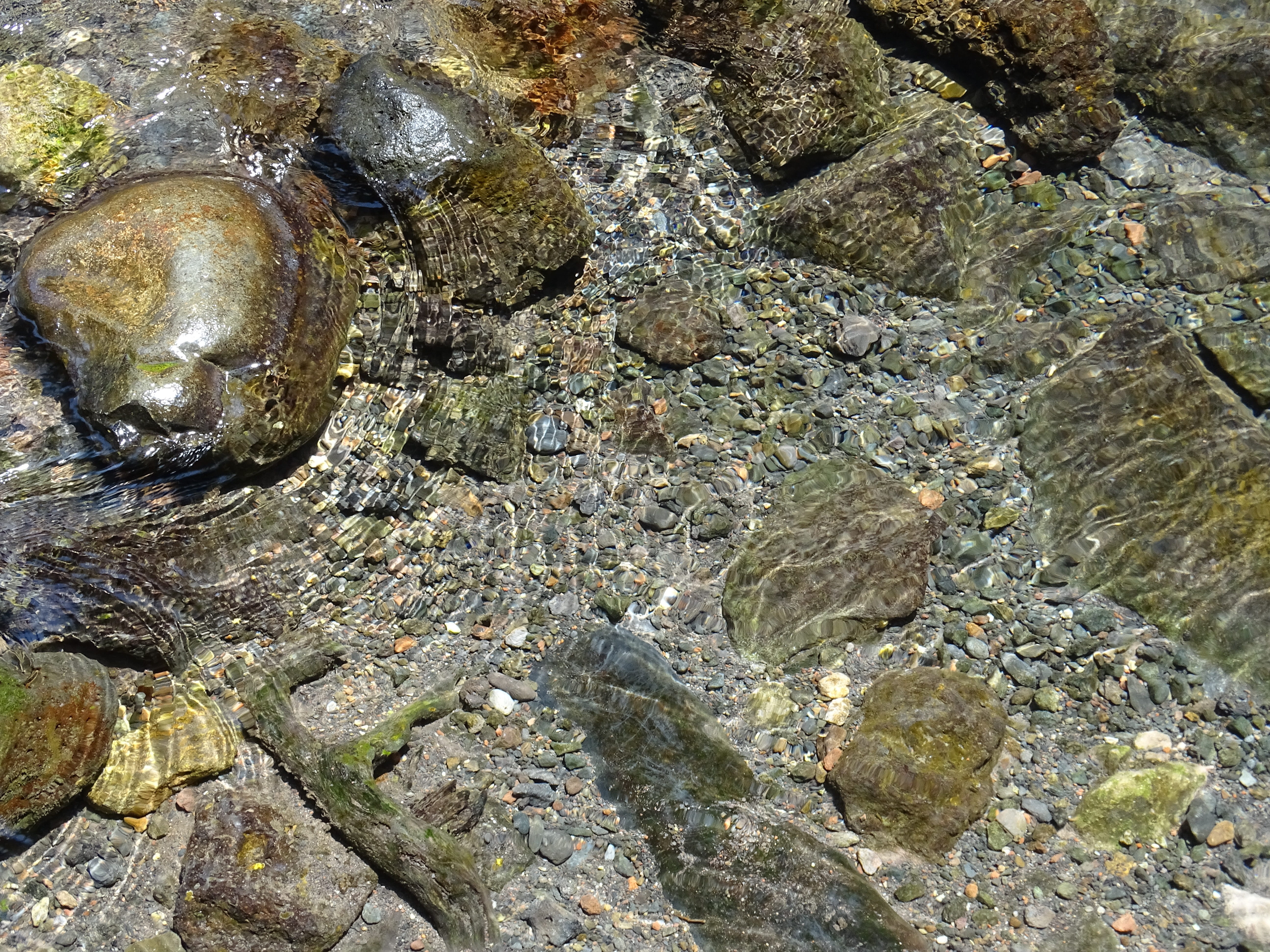 backgrounds, natural, pebble, water, river, beauty in nature, reflection, texture, creek, mexico, solid, bed, full frame, rock, brightness, current, brook, HD Wallpaper