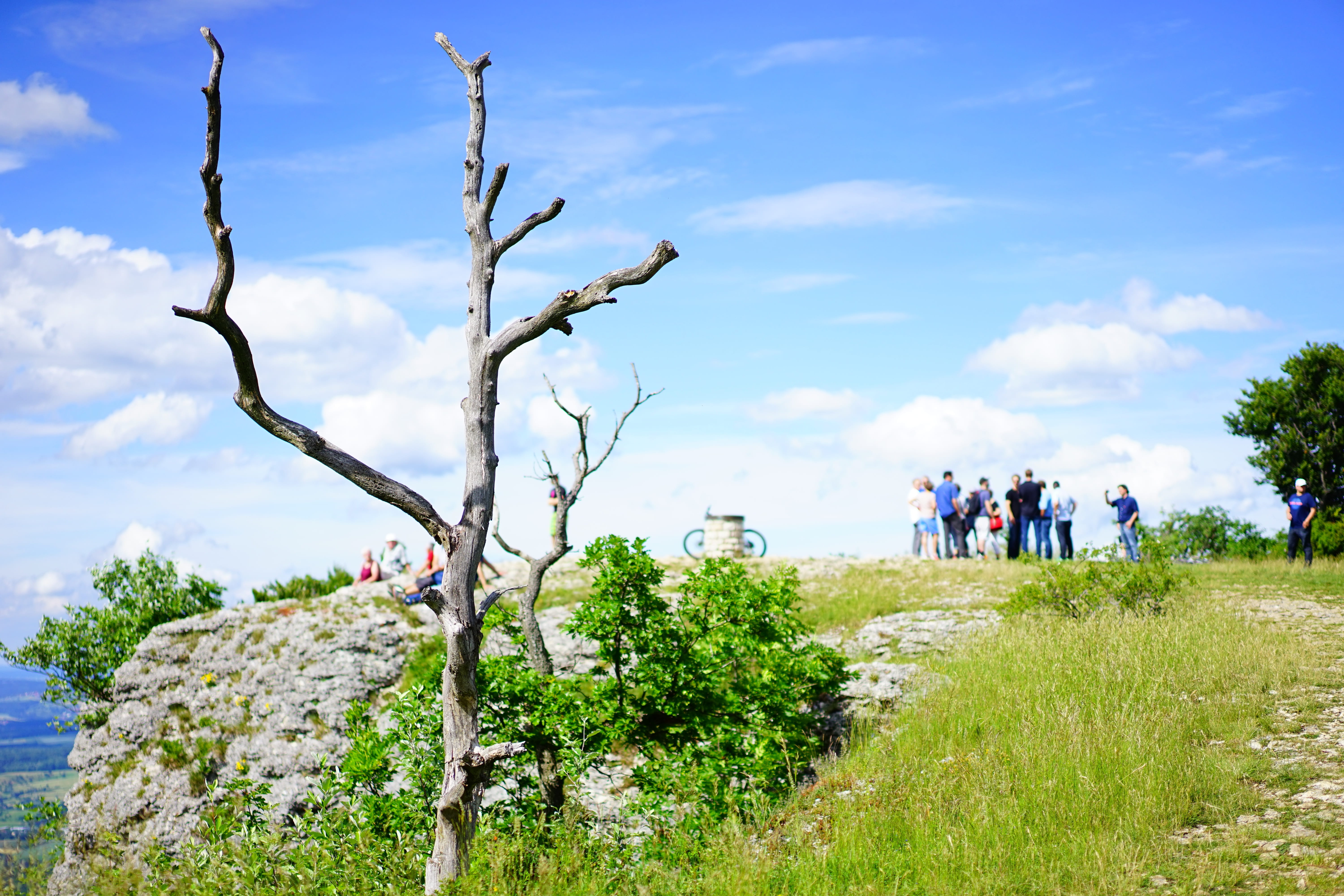 hiking, dead tree, kahl, environmental protection, women, breitenstein, dead plant, cliff, men, crowd, real people, plant, dead, more, migratory people, HD Wallpaper