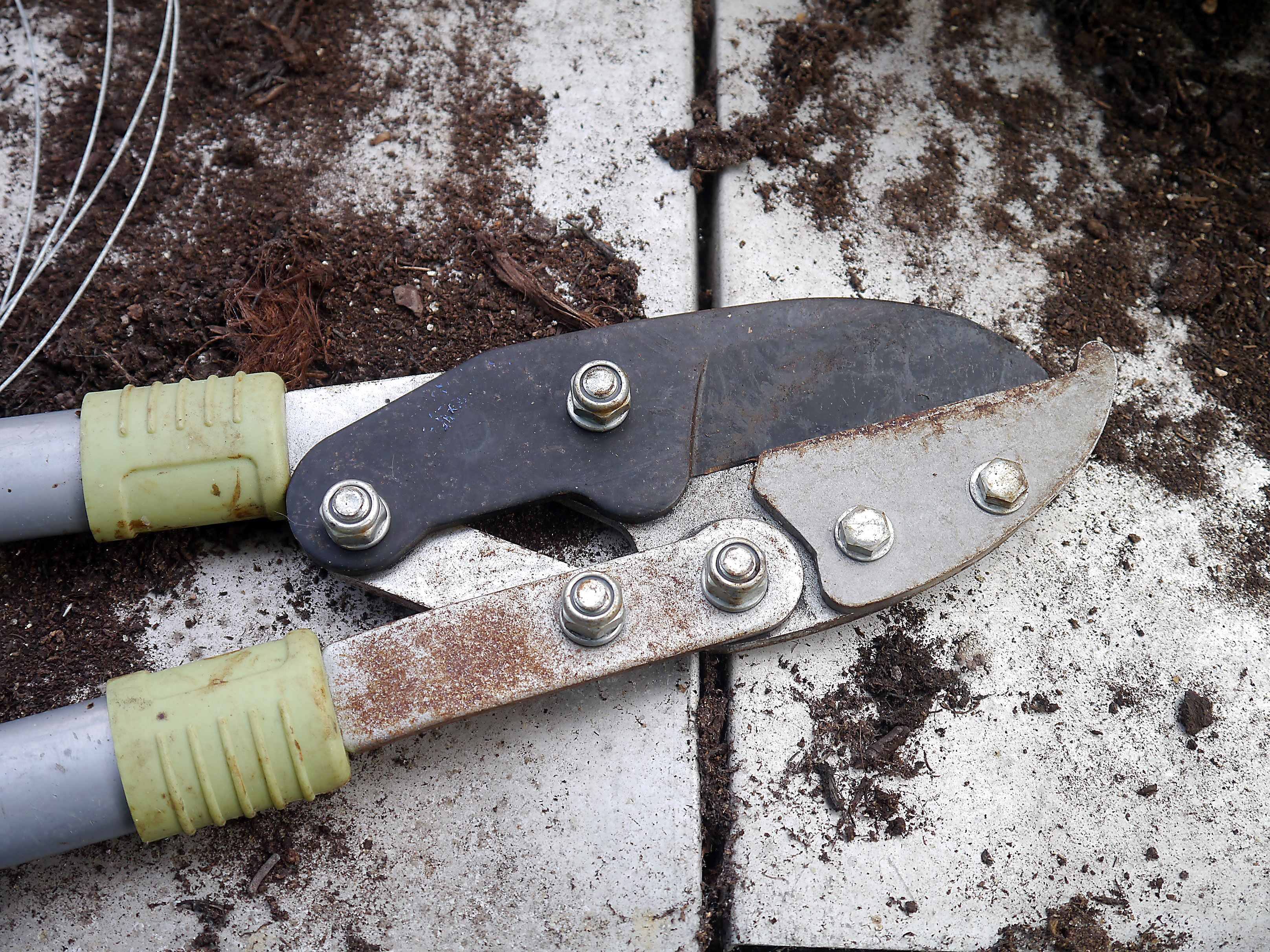 high angle view, rusty, group of objects, bolt, weathered, cut, cutting, pruning, tool, day, gardening, 2K, photo, trimming, clippers, sharp, closeup, HD Wallpaper