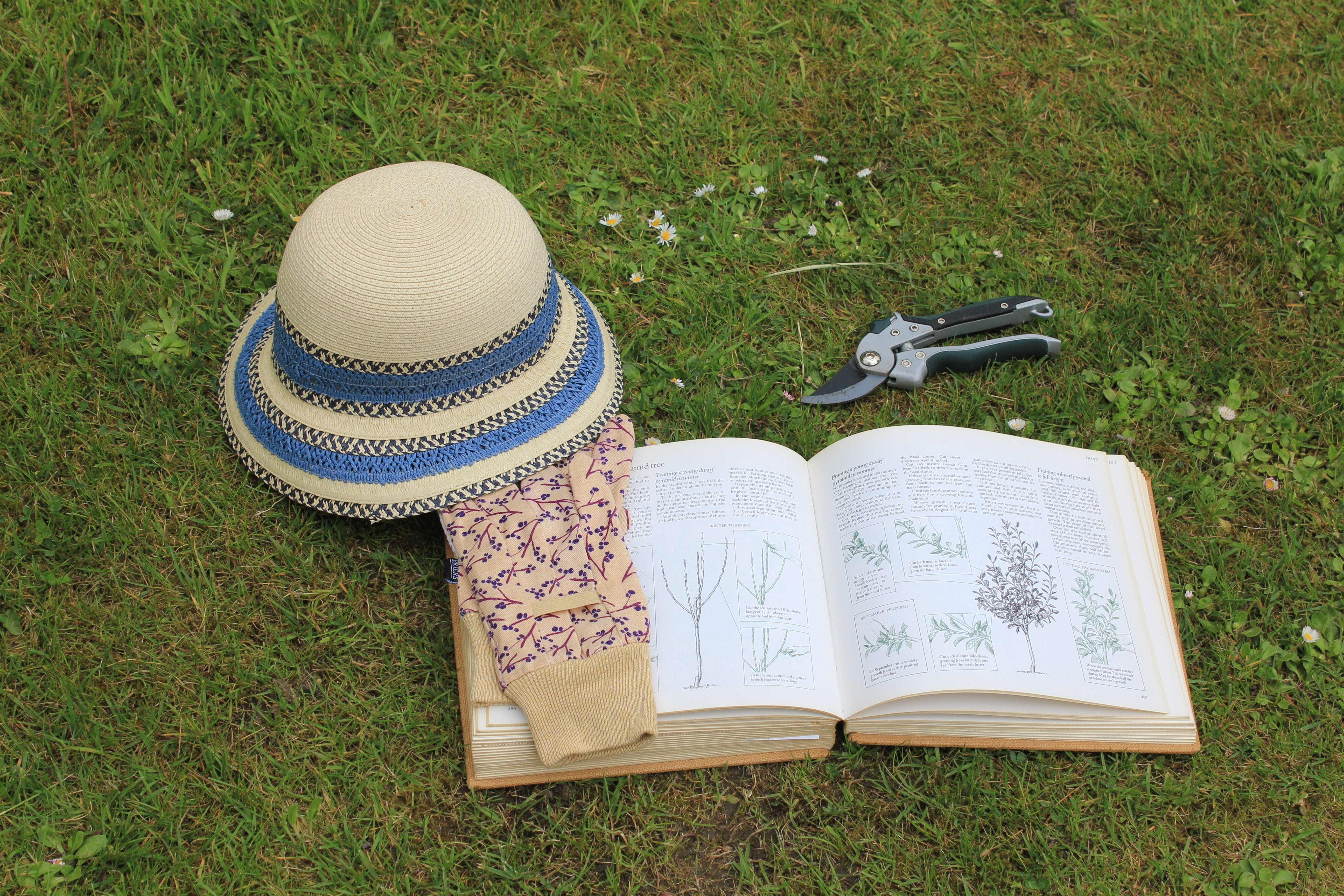 summer, secateurs, header, wildflower, cut, spring, plant, pruning, landscape, clothing, creativity, pattern, garden gloves, publication, nature, representation, HD Wallpaper