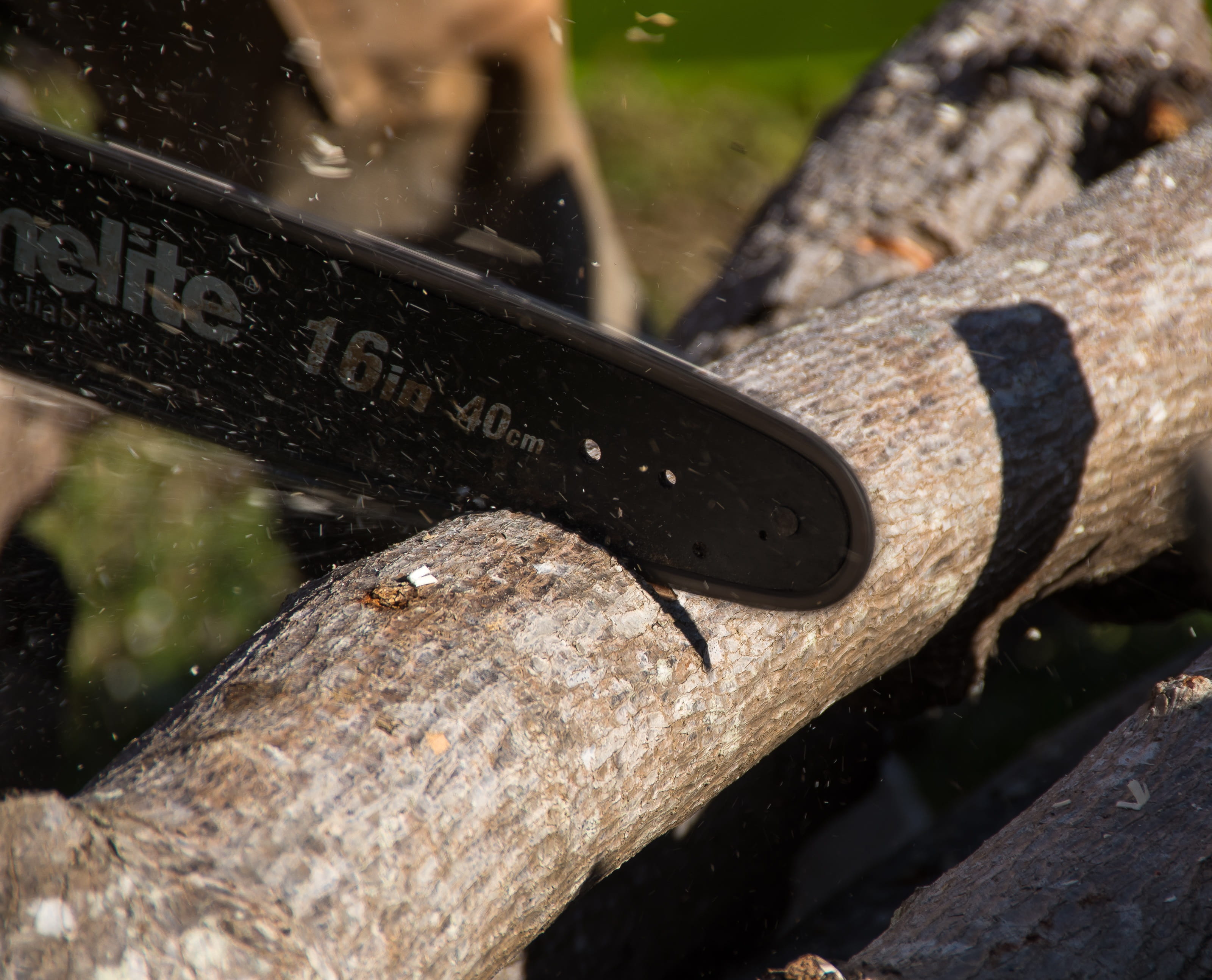 day, log, close-up, sunlight, selective focus, no people, cutting, branch, timber, water, tool, saw, lopping, chainsaw, pruning, wood - material, 2K, lumber industry, HD Wallpaper