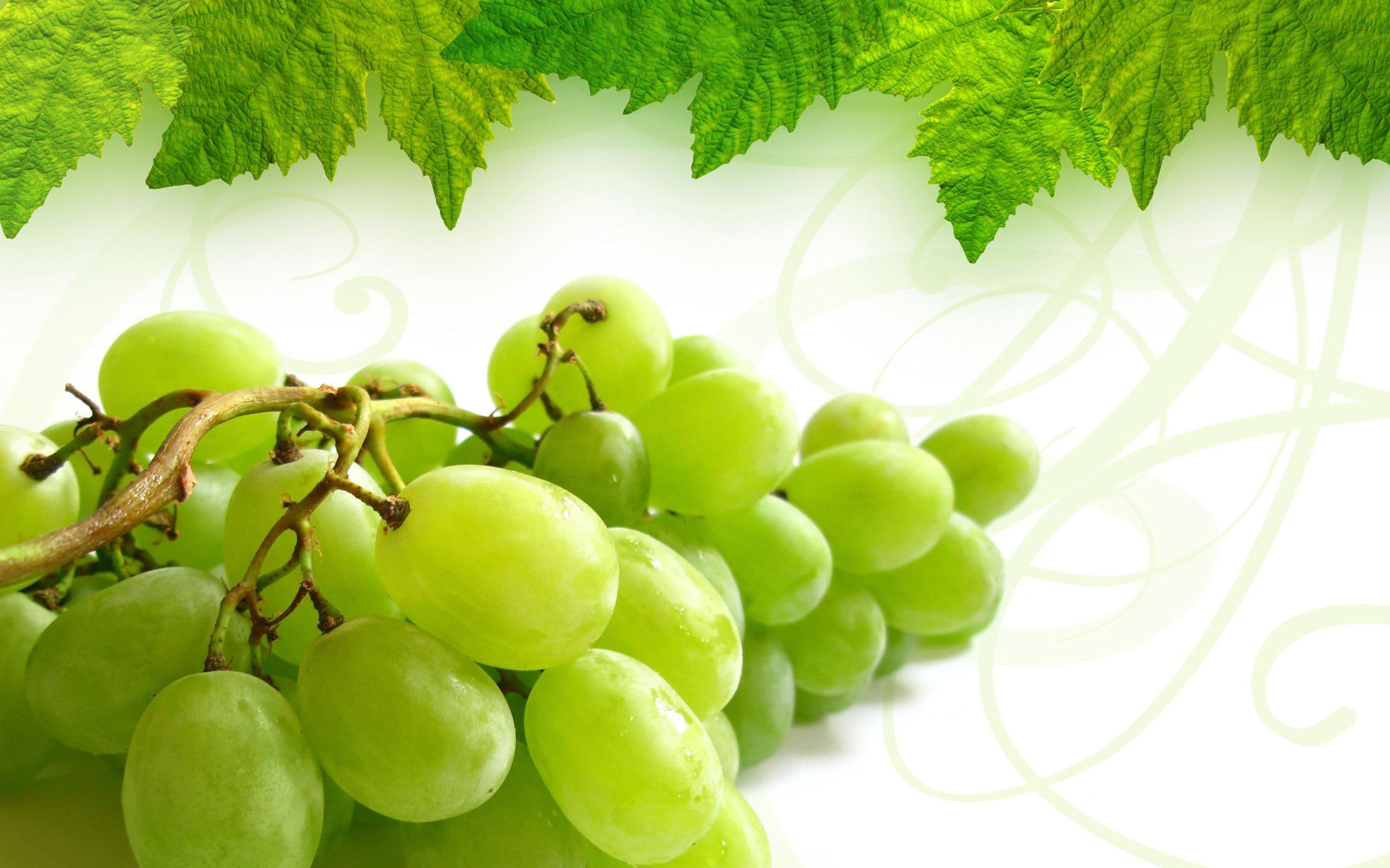 green, fruit, 2560x1600, tasty, grape, 2K, grapes, photography, HD Wallpaper