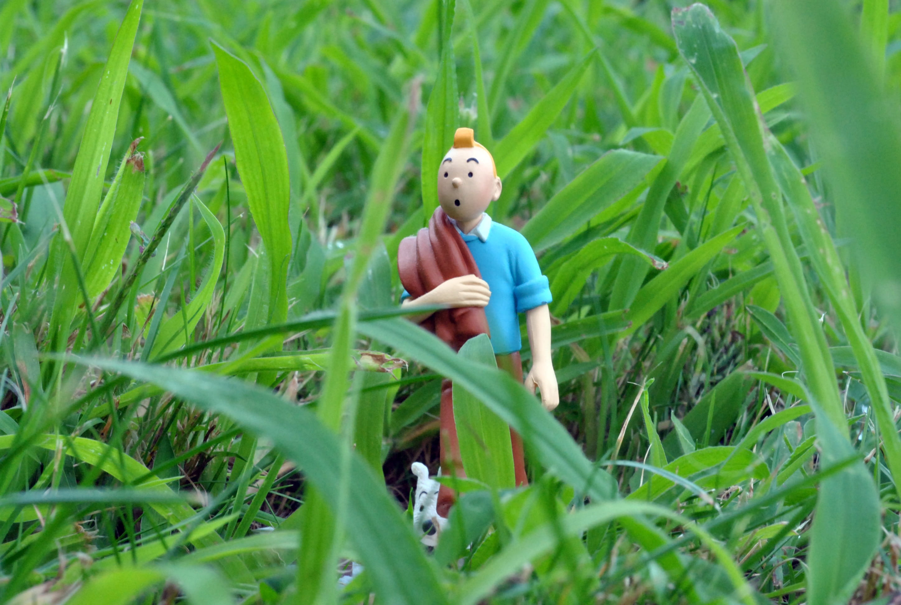 creativity, human representation, sculpture, green, 2K, day, grass, art and craft, Figurine, statue, selective focus, children only, Tintin, nature, toy, HD Wallpaper