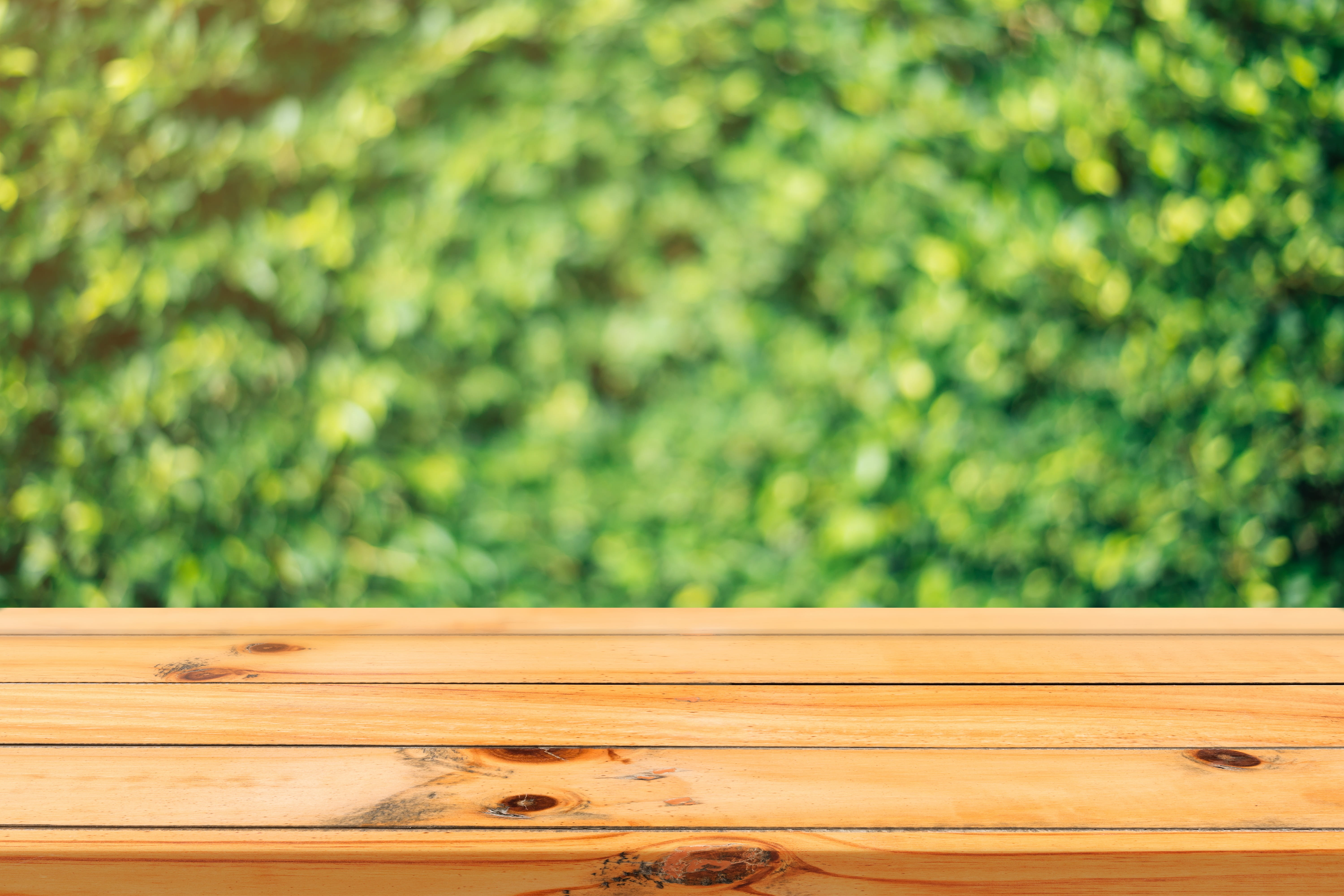 nature, animal themes, plant, agriculture, leaf, tree, day, wooden, bokeh, food, outdoors, surface, food and drink, fruit, animal, outside, table, no people, HD Wallpaper