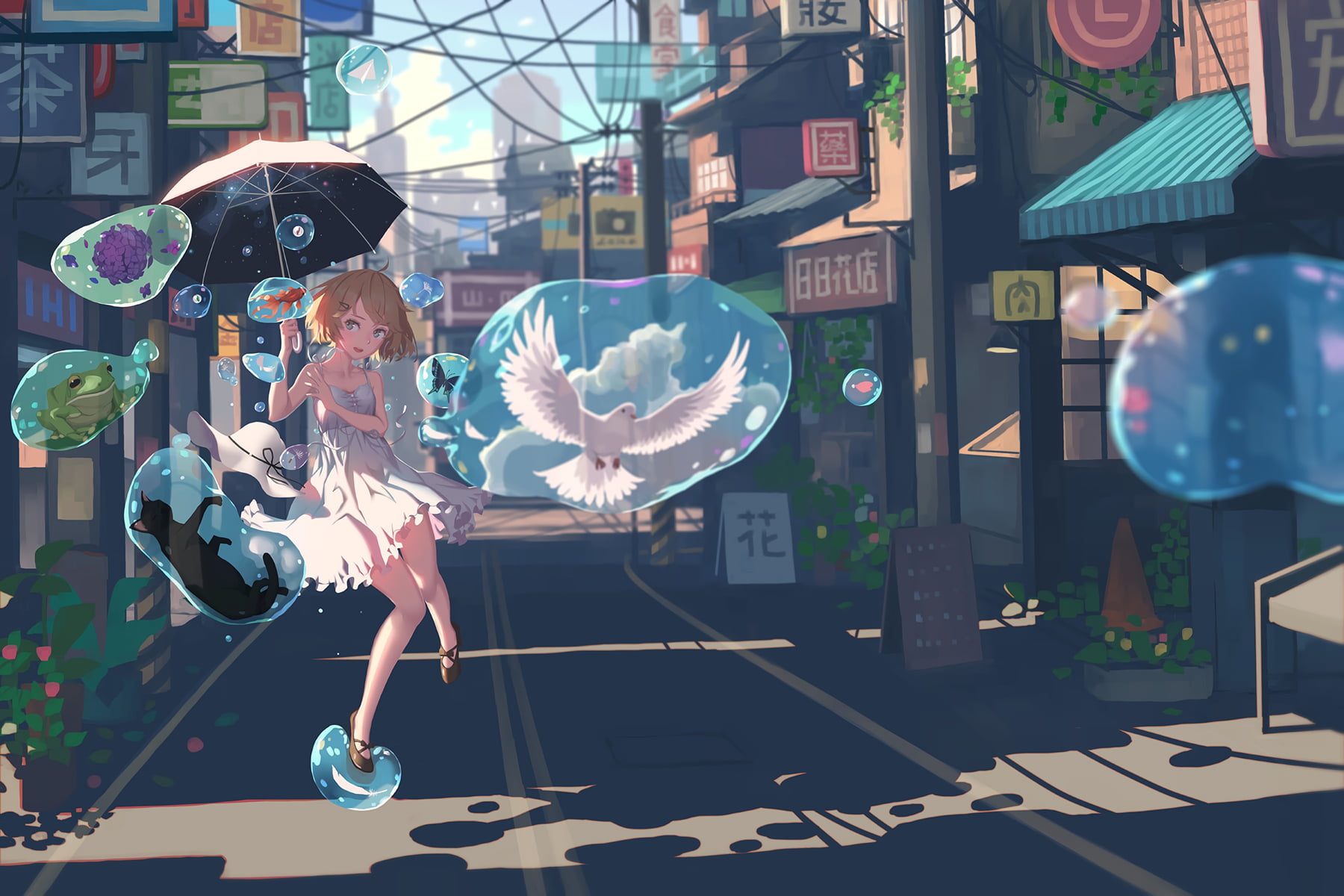 petals, clouds, short hair, pigeons, hat, umbrella, anime, water drops, city, aqua eyes, blonde, butterfly, frog, sunlight, stars, 720P, black cats, flowers, HD Wallpaper