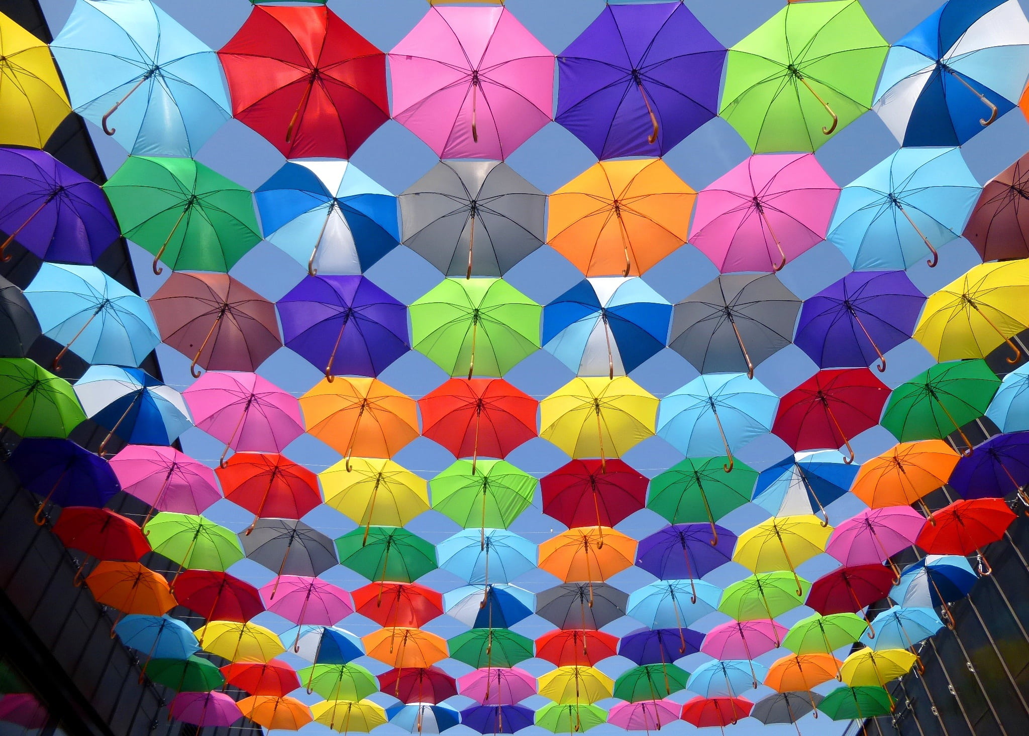blue sky, celebration, no people, low, budapest, angle, blue, photography, balloon, large group of objects, color, backgrounds, day, purple, decorative street, HD Wallpaper