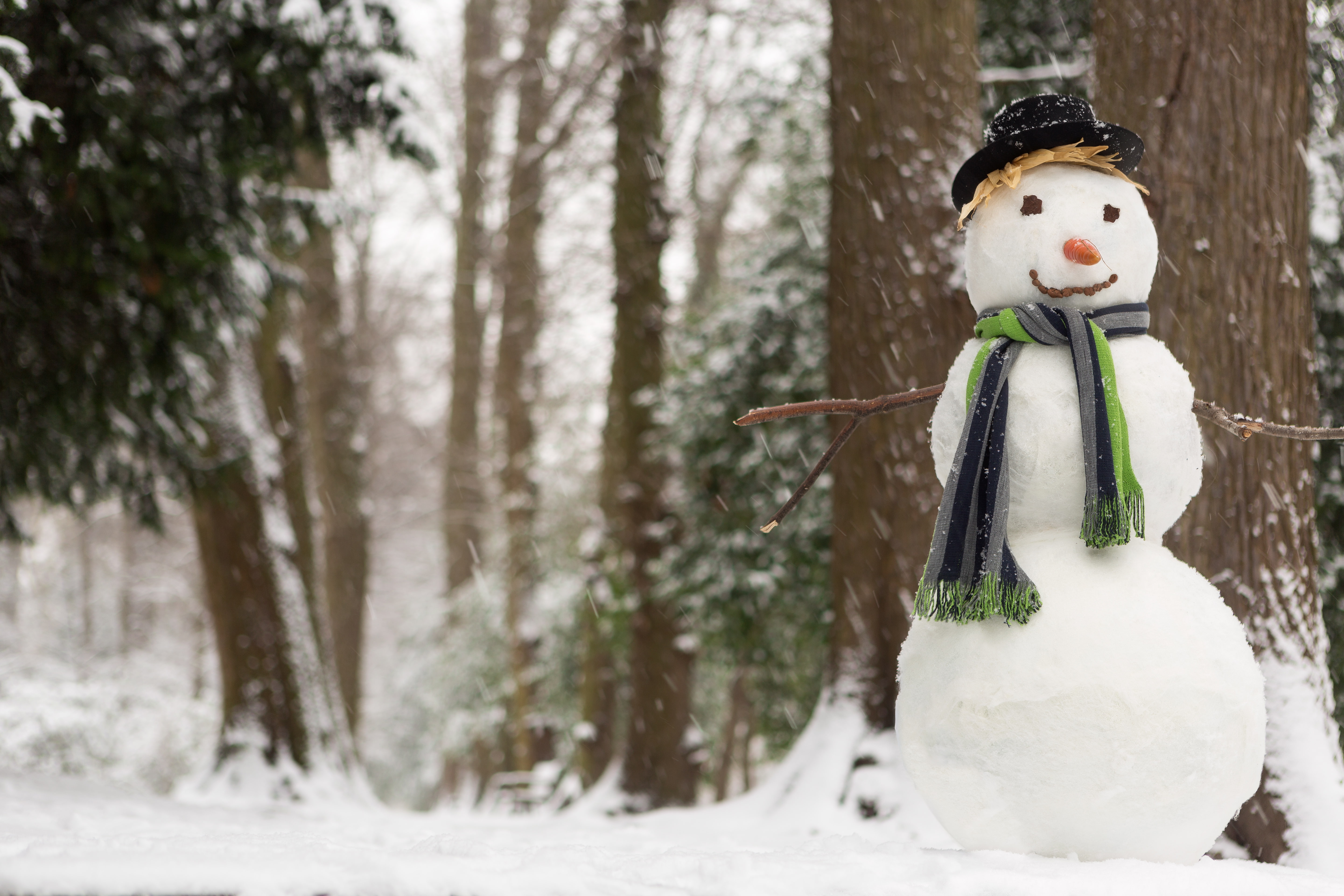 carrot, snow, tree, creativity, snowing, art and craft, no people, forest. trees, female likeness, human representation, snowman, winter, outdoors, 5K, HD Wallpaper