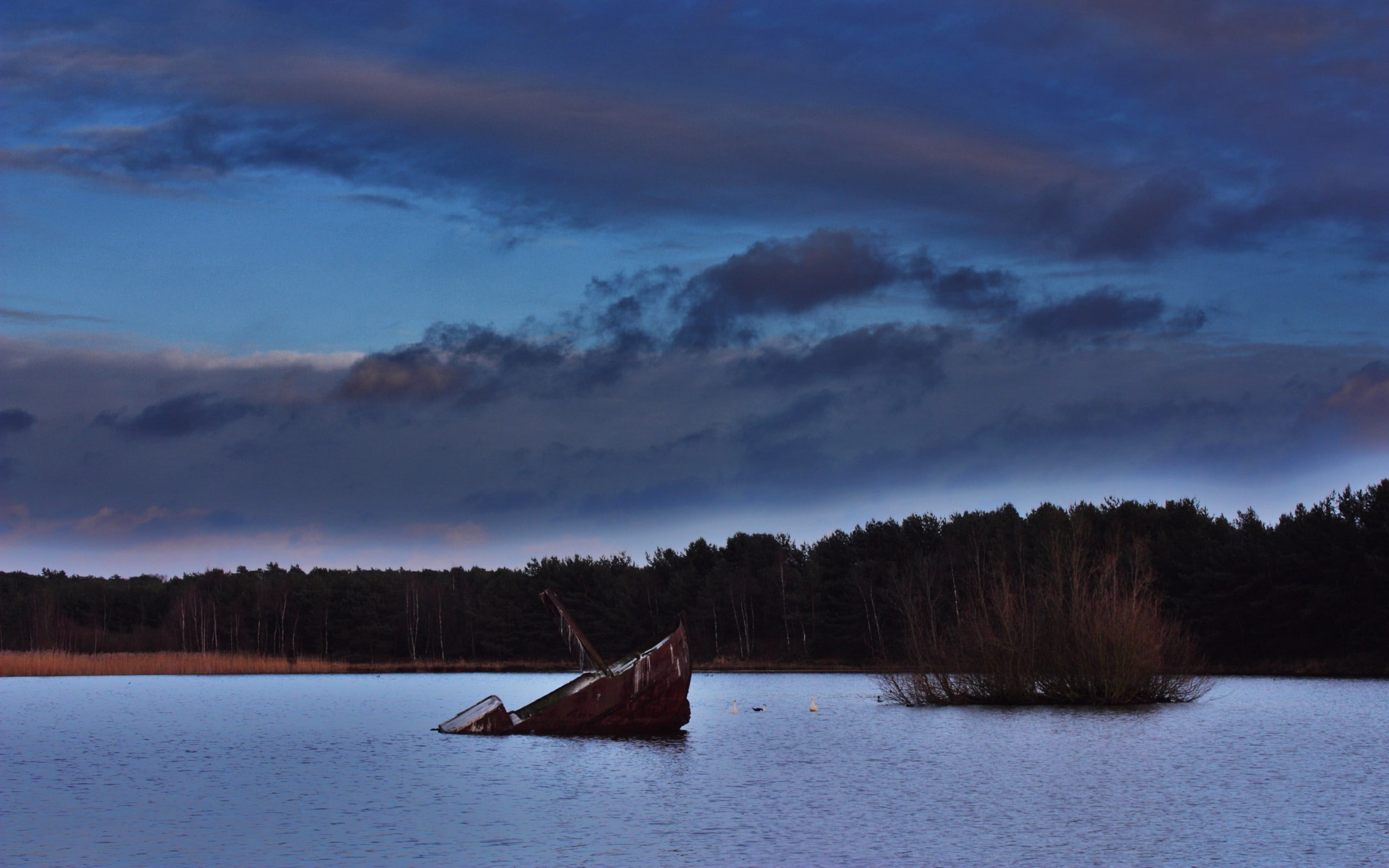 sailboat, beauty in nature, outdoors, no people, mode of transportation, day, plant, nautical vessel, lake, tree, 2K, non-urban scene, sky, scenics - nature, HD Wallpaper