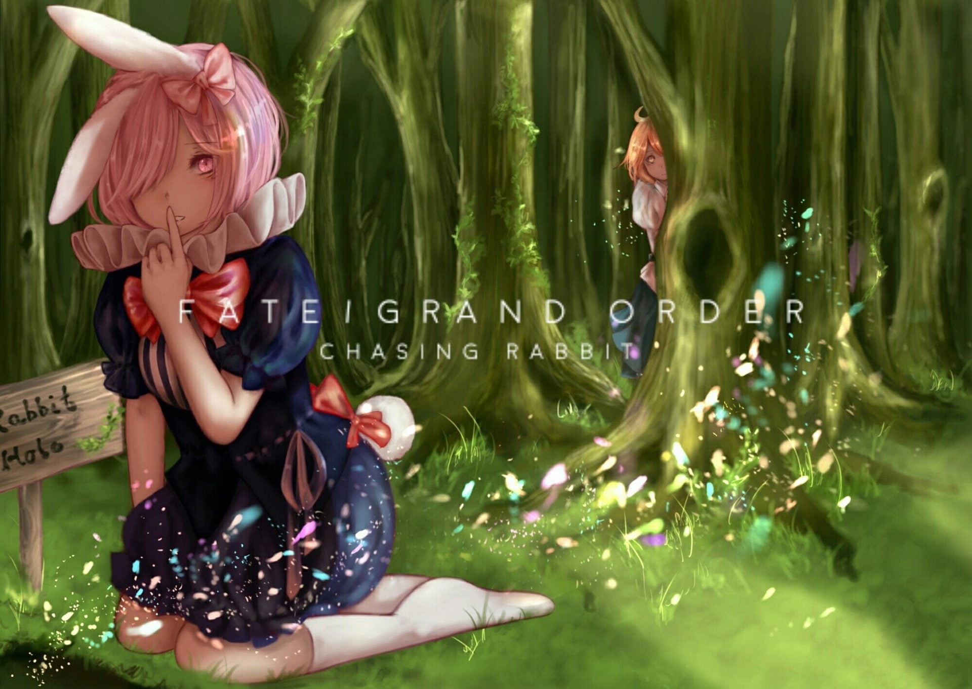 Fate/Grand Order, 1080P, Mashu Kyrielight, Fate Series, HD Wallpaper