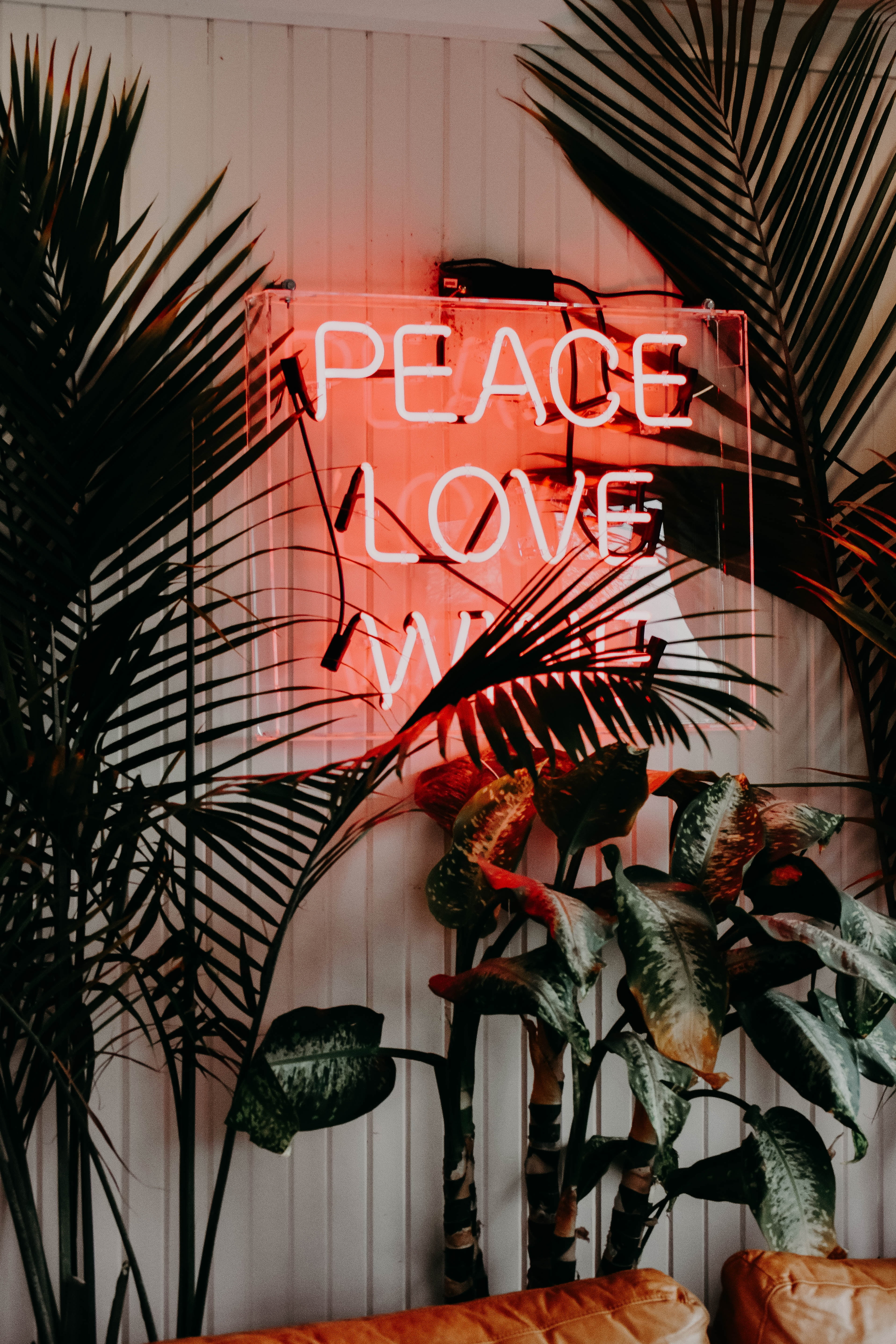 message, store sign, lighting equipment, no People, capital letter, illuminated, neon, highlight, night, nature, plants, facade, western script, plant, Phone HD Wallpaper