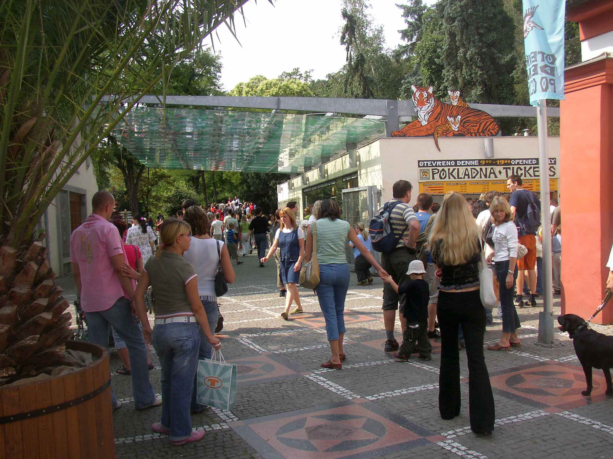 adult, republic, 1080P, Crowds, prague, built structure, urban Scene, shopping, architecture, Czech Republic, full length, Prague Zoo, leisure activity, HD Wallpaper