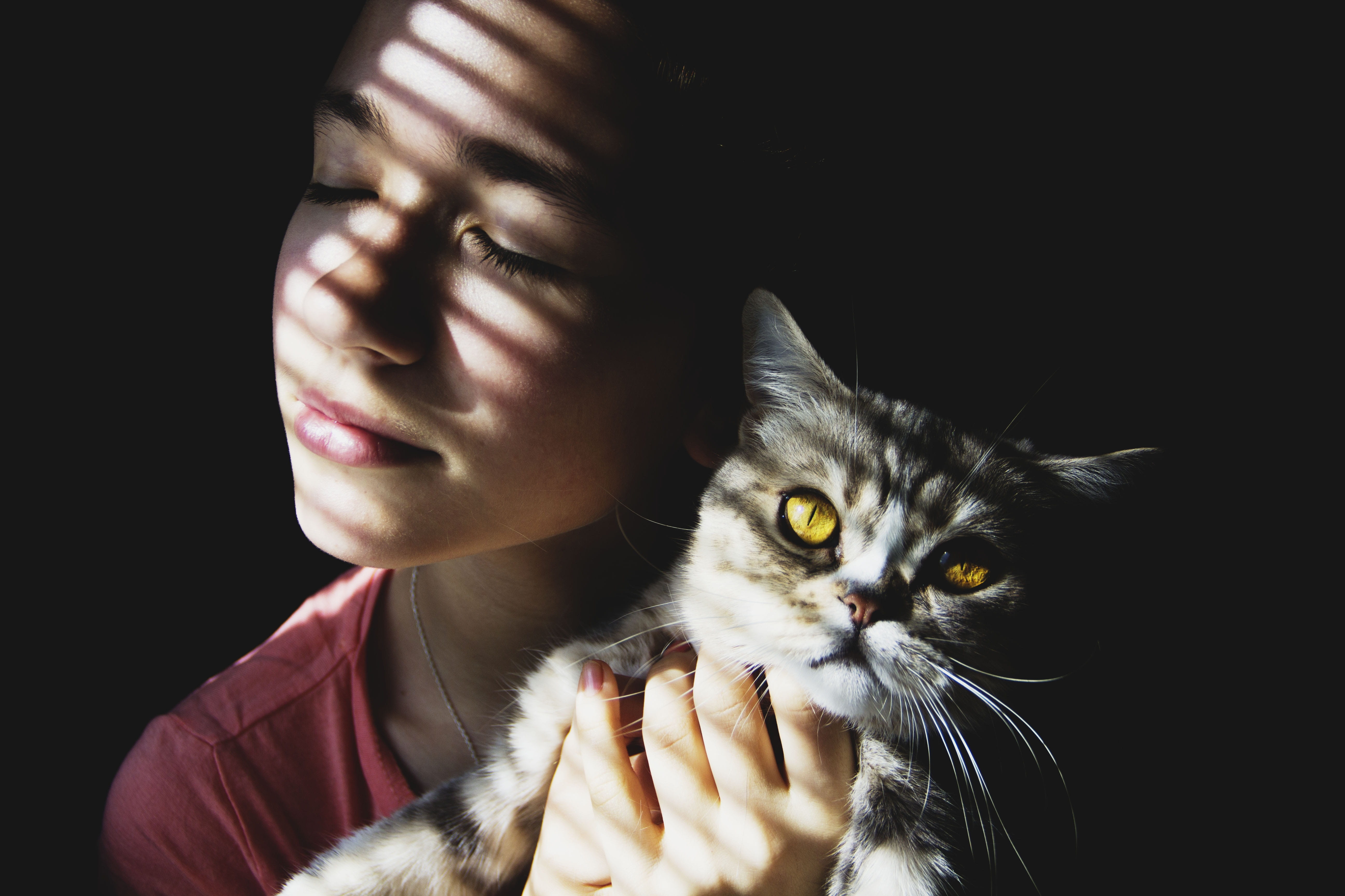 pretty, front view, pets, looking, domestic, people, one Person, hair, girl, pet owner, female, cat, kitten, looking at camera, dark background, caucasian Ethnicity, HD Wallpaper