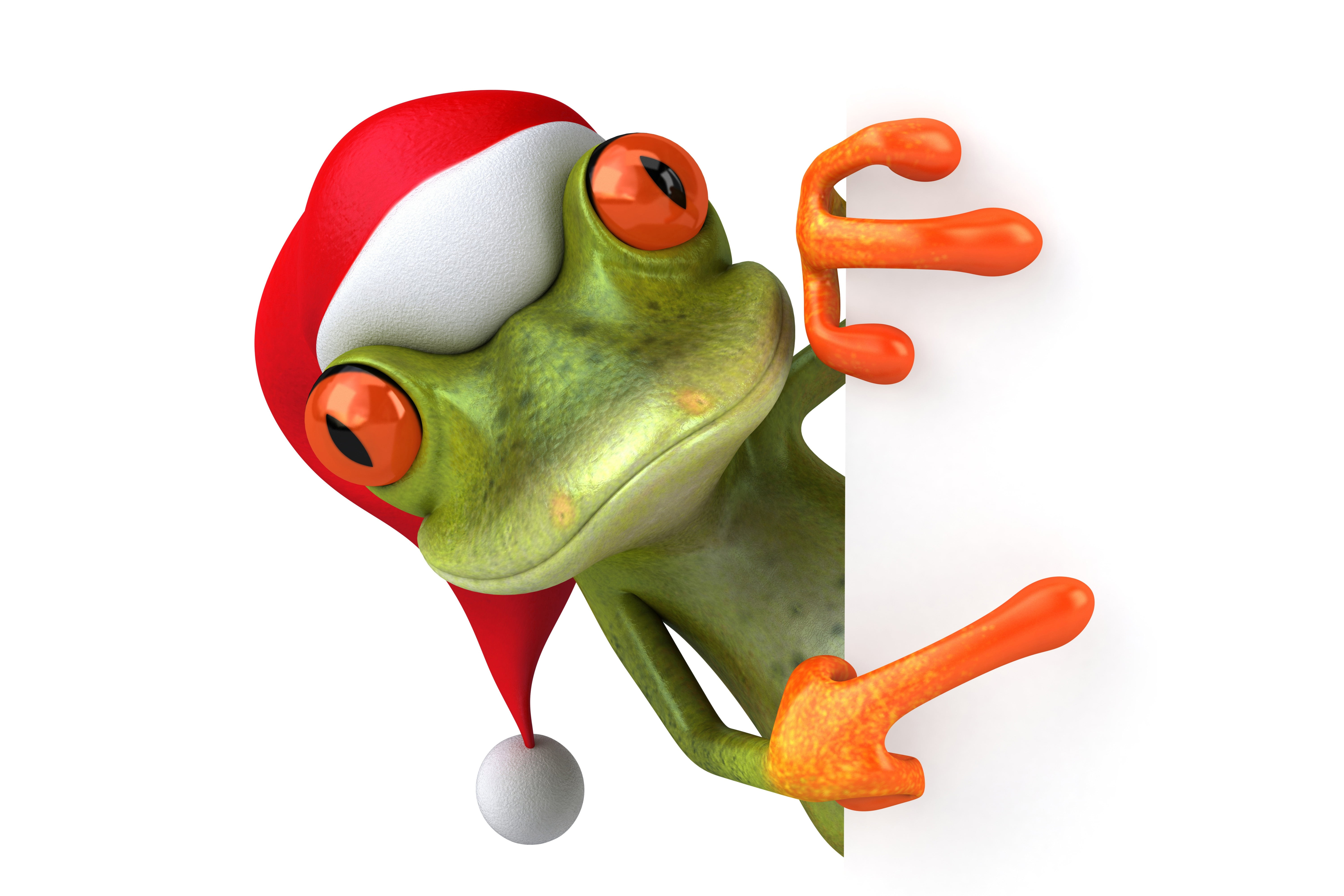 indoors, frog, spice, healthy eating, alien, animal, freshness, vegetable, wellbeing, no people, white Background, still life, isolated, christmas, humor, HD Wallpaper