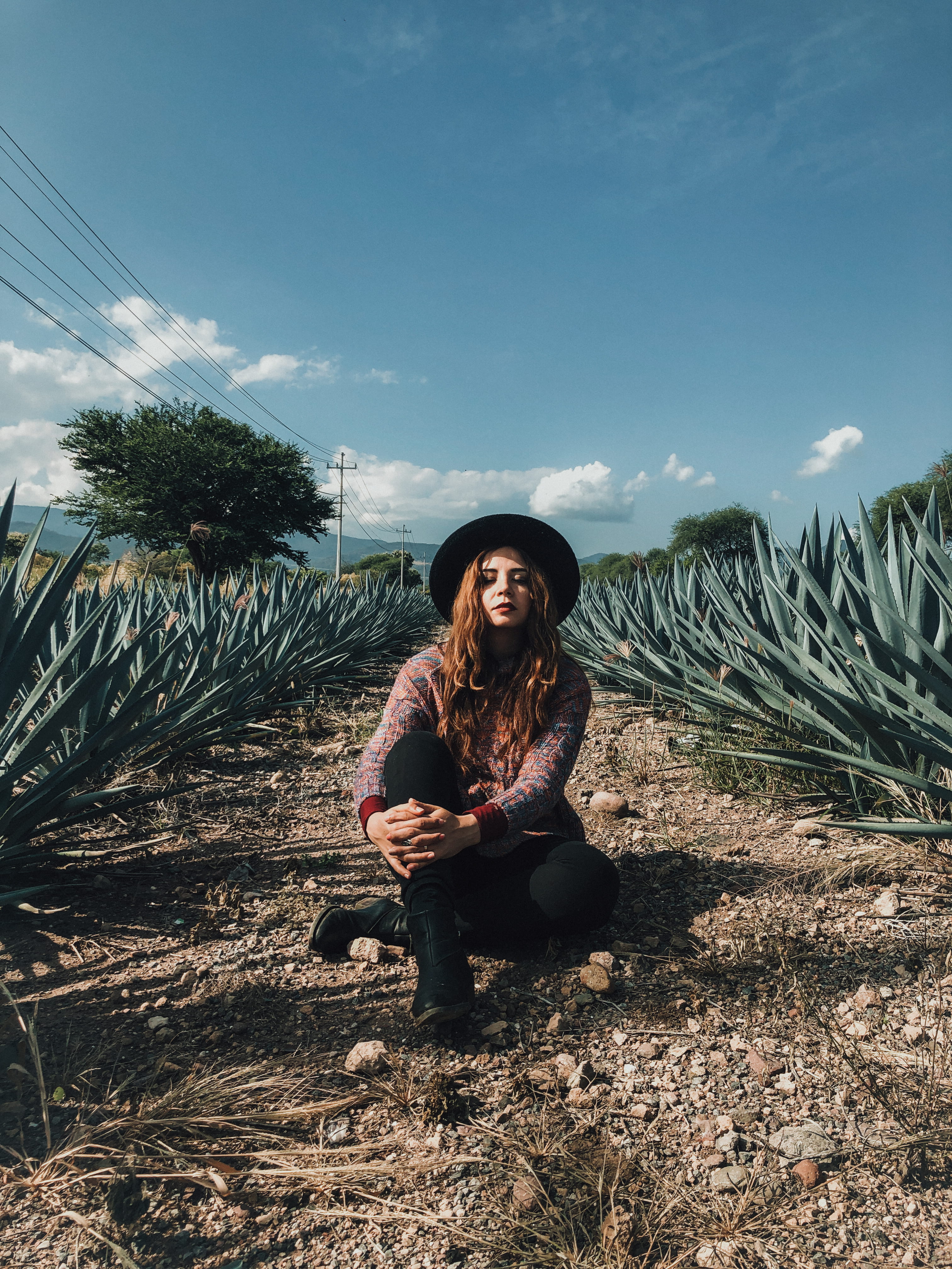 cactus, outdoors, vest, ground, real people, blossom, day, slate, plant, young adult, portrait, field, tobacco, 4K, adult, foxglove, sitting, human, nature, Phone HD Wallpaper