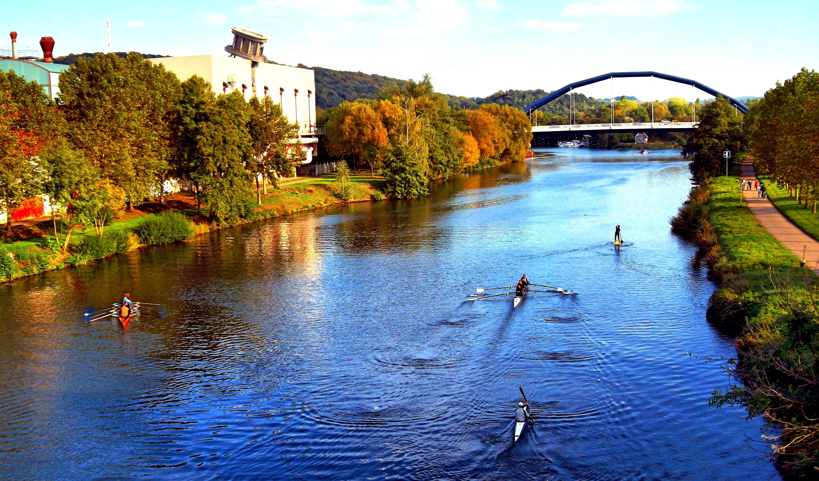 group of animals, architecture, water, beauty in nature, nature, waterfront, vertebrate, animal themes, lake, animal wildlife, saarbrücken, duck, no people, HD Wallpaper