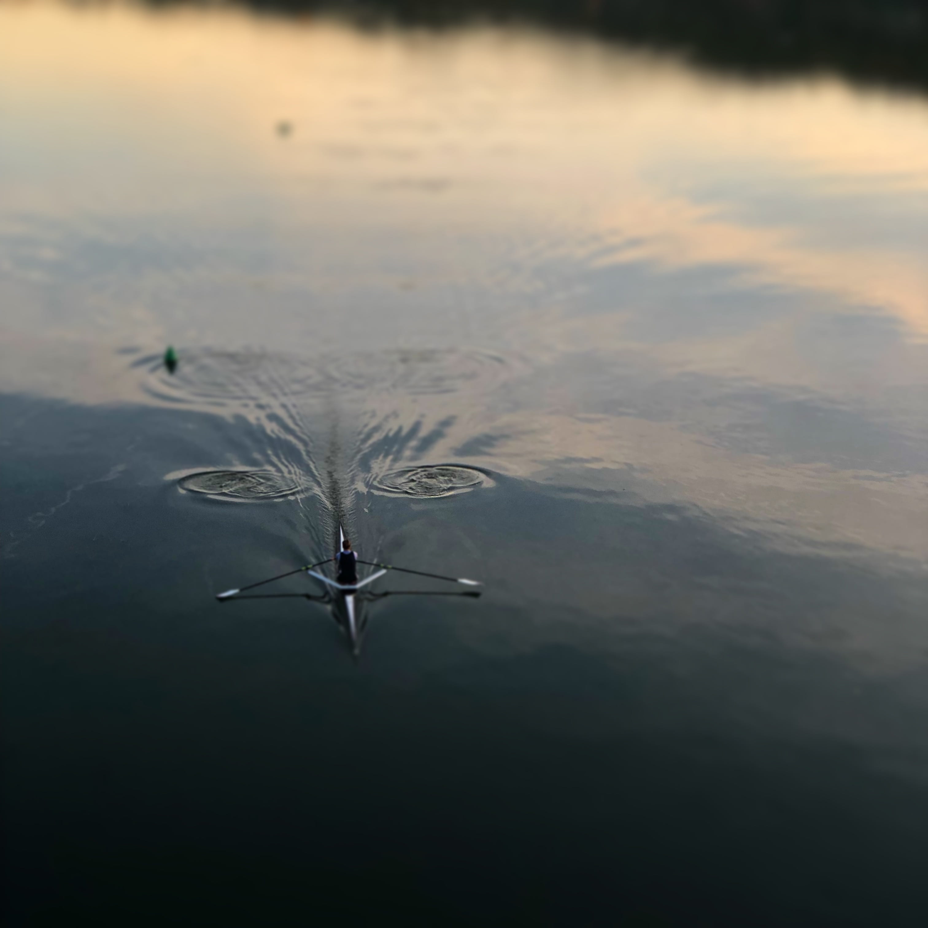 person, animal themes, sunrise, routine, sky, lake, paddel, cloud - sky, reflection, floating on water, river, animal wildlife, water, one animal, boat, Phone HD Wallpaper