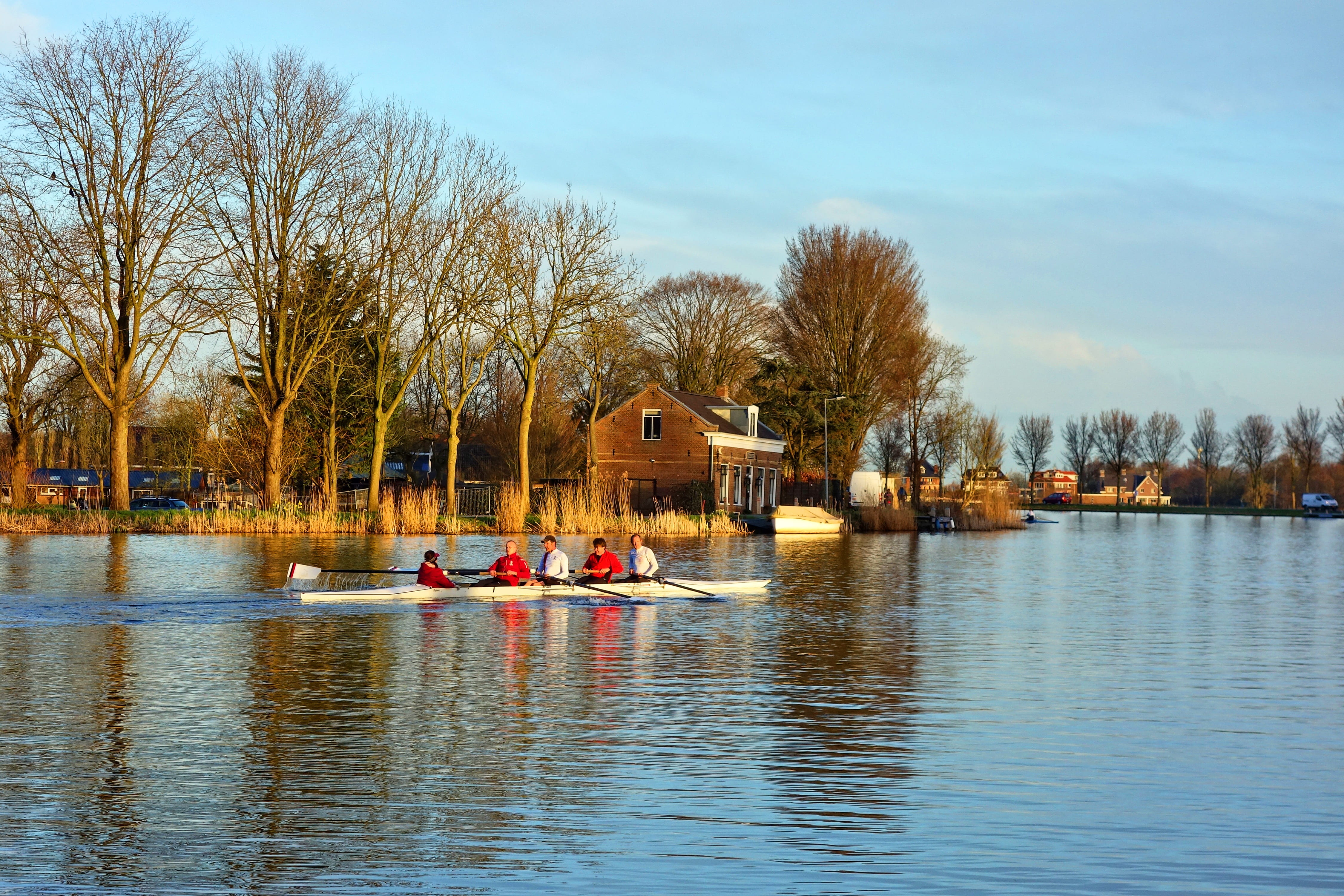 boating, trees, nature, river, rowers, plant, canoe, real people, competition, cloud - sky, day, rowing, sport, travel, five, mode of transportation, water, HD Wallpaper