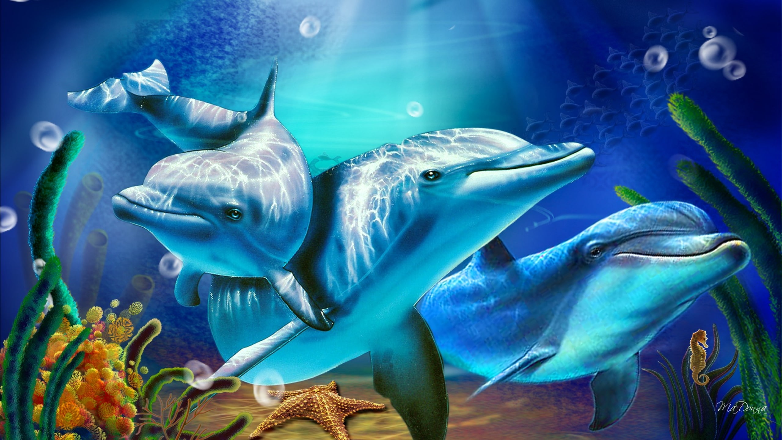 rays, computer, mobile, desktop, dolphins, sunlight, phones, 2K, coral, starfish, hd, HD Wallpaper