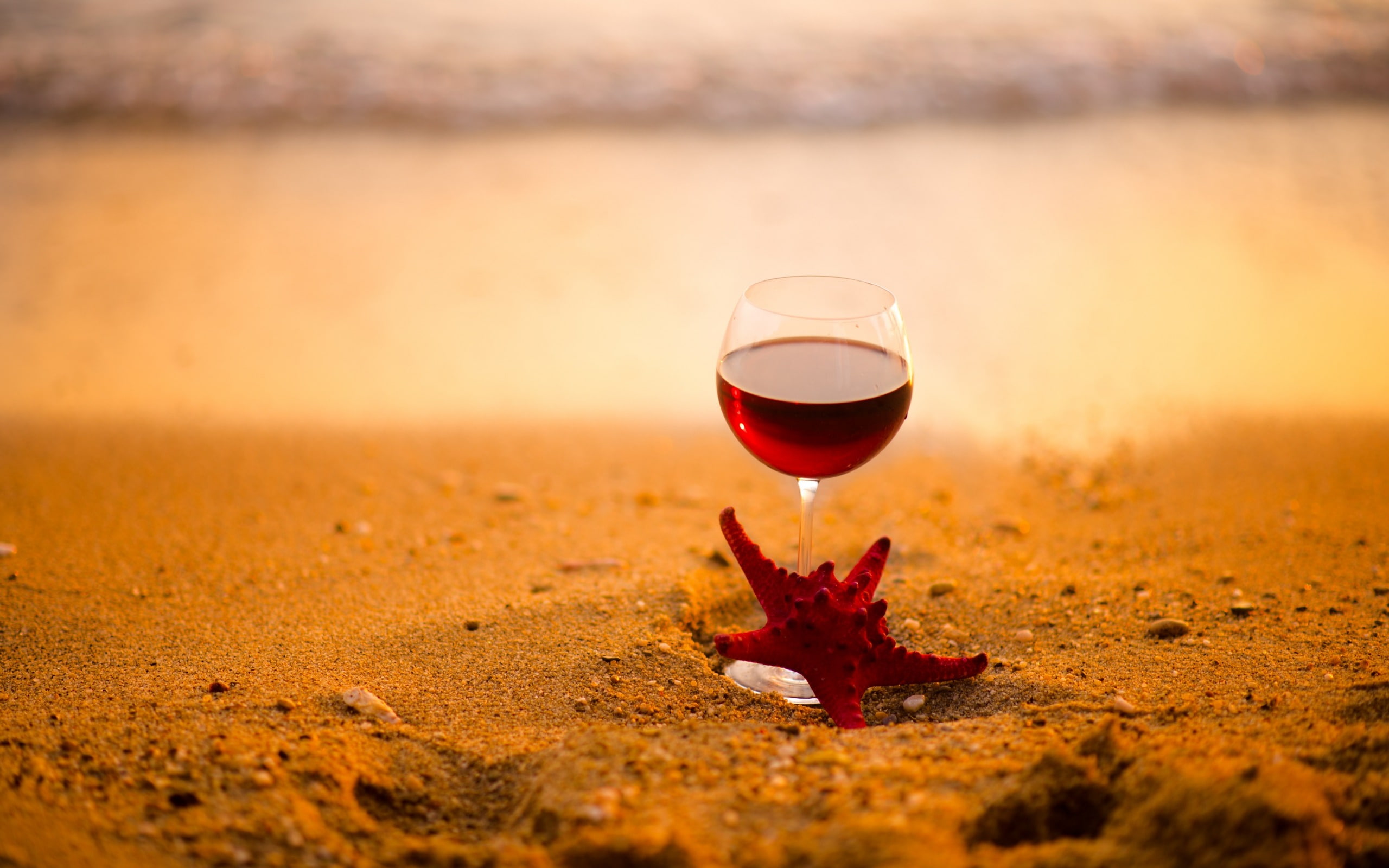 wall, drink, sunlight, outdoors, red, glass, wineglass, land, wine, drinking, high, sunset, refreshment, alcohol, 2K, food and drink, hd, sky, beach, starfish, HD Wallpaper