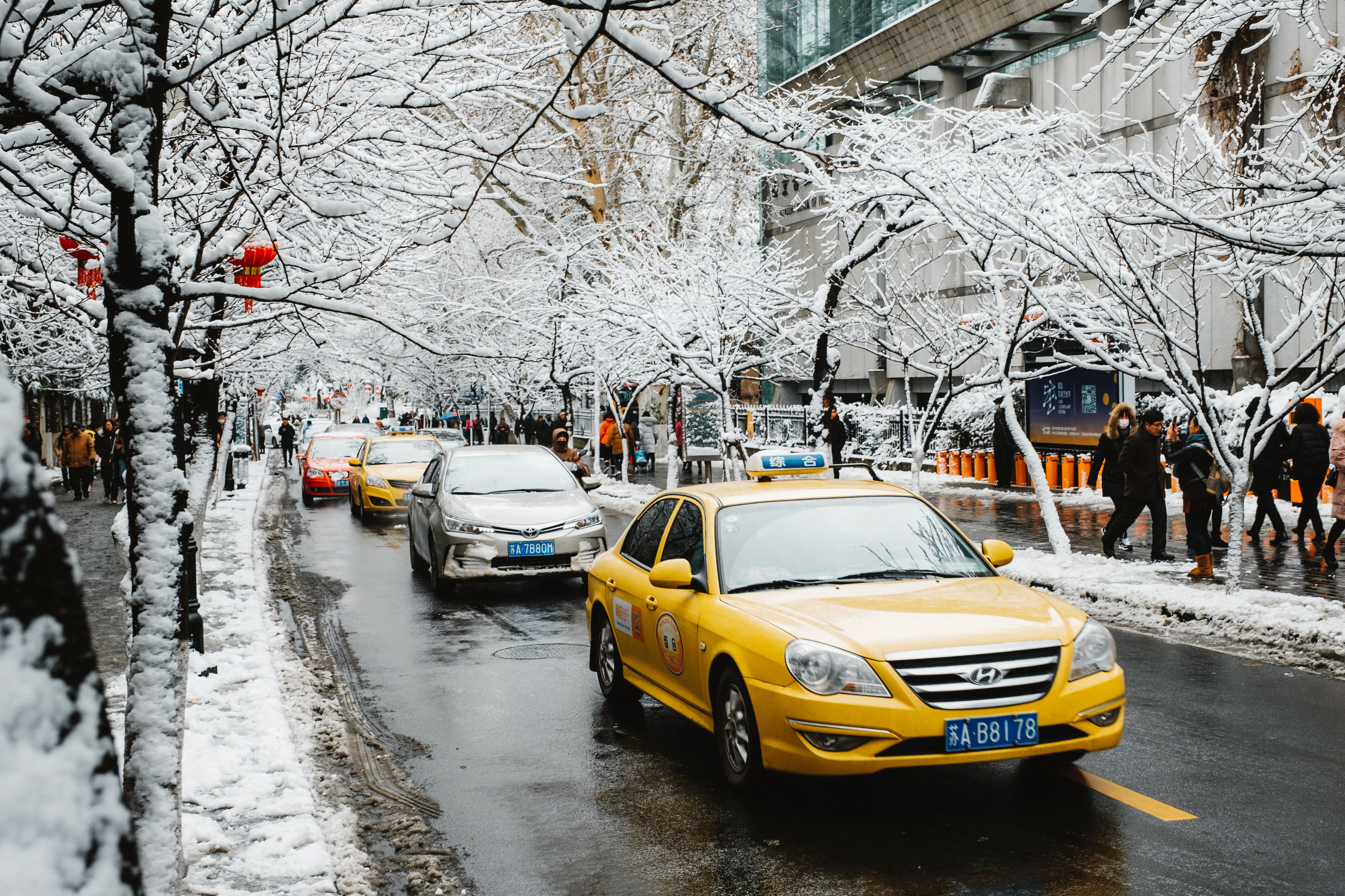 street, sunlight, water, taxi, vehicle, bare tree, architecture, 5K, land vehicle, transportation, puddle, tree, nature, sonata, sedan, path, no people, HD Wallpaper