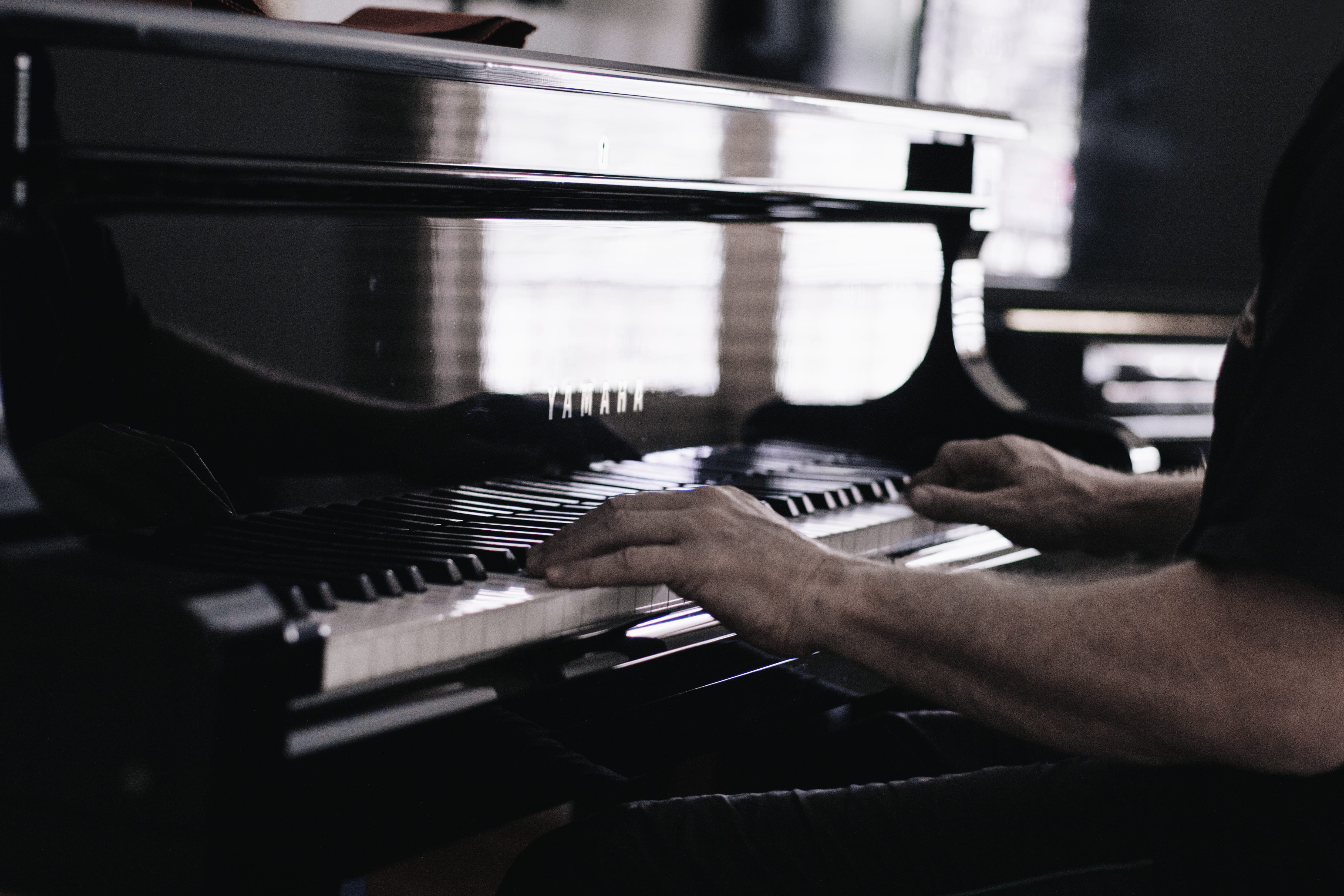 musician, finger, sound, music, human body part, men, people, practicing, keyboard instrument, person, musical Instrument, keys, artist, touching, man, HD Wallpaper