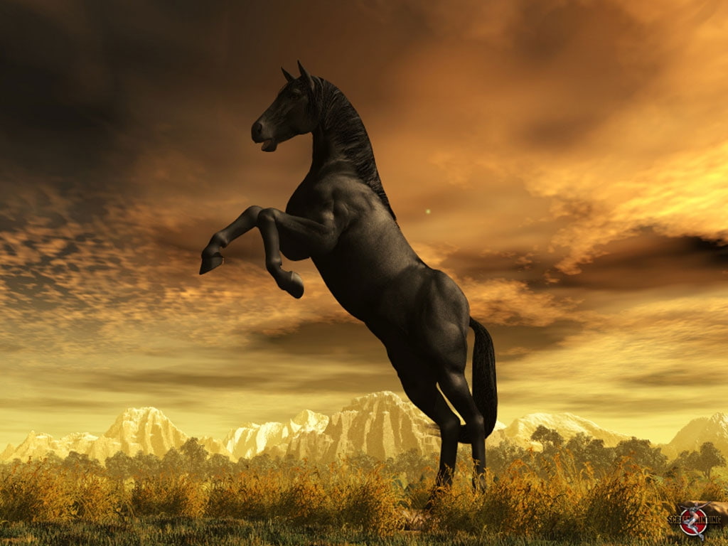 3D, sun, welcoming, Landscape, horses, 480P, Clouds, art, d, hd, cg, abstract, sky, stallion, sunrise, HD Wallpaper