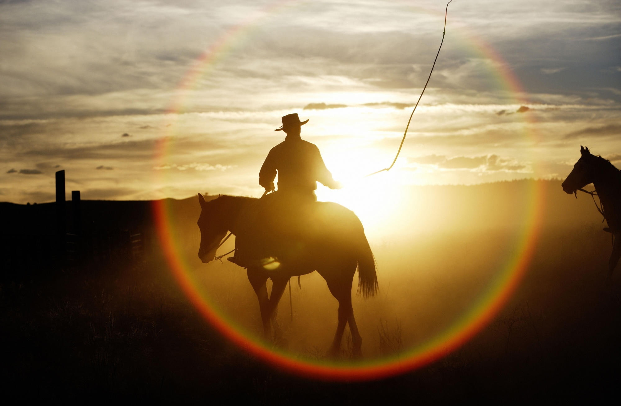 Horse, animal wildlife, livestock, Seneca, sky, vertebrate, Horses, pets, sunset, Oregon, cloud - sky, Ranch, cowboy, domestic, Quarter, one animal, lens flare, HD Wallpaper