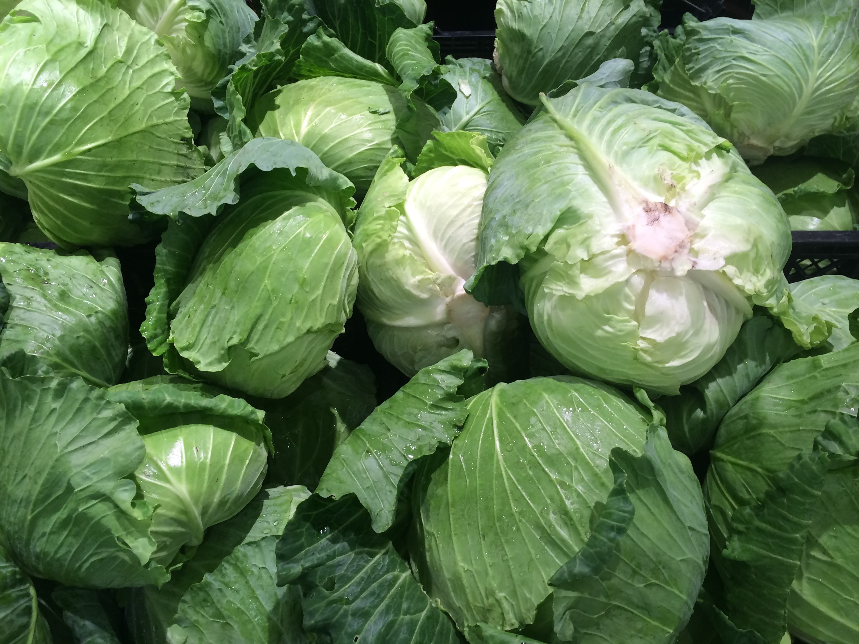 department, lot, high angle view, cabbage, day, 2K, farm, food and drink, vegetables, green, vegetable, heisei-cho, abundance, supermarket, green color, HD Wallpaper