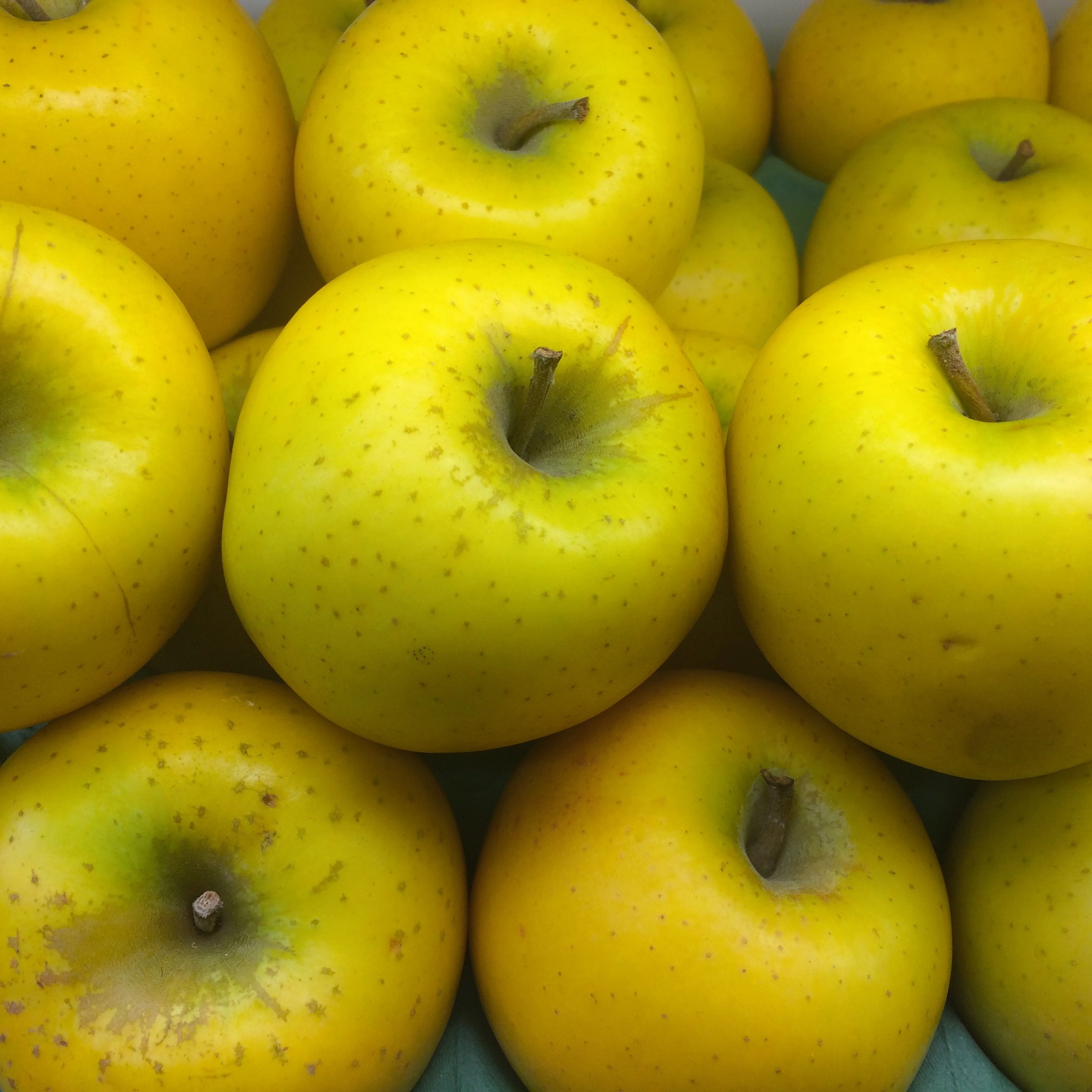 green color, backgrounds, supermarket, freshness, fruit, yellow, heisei-cho, ringo, close-up, department, seiyu ltd, abundance, large group of objects, Phone HD Wallpaper