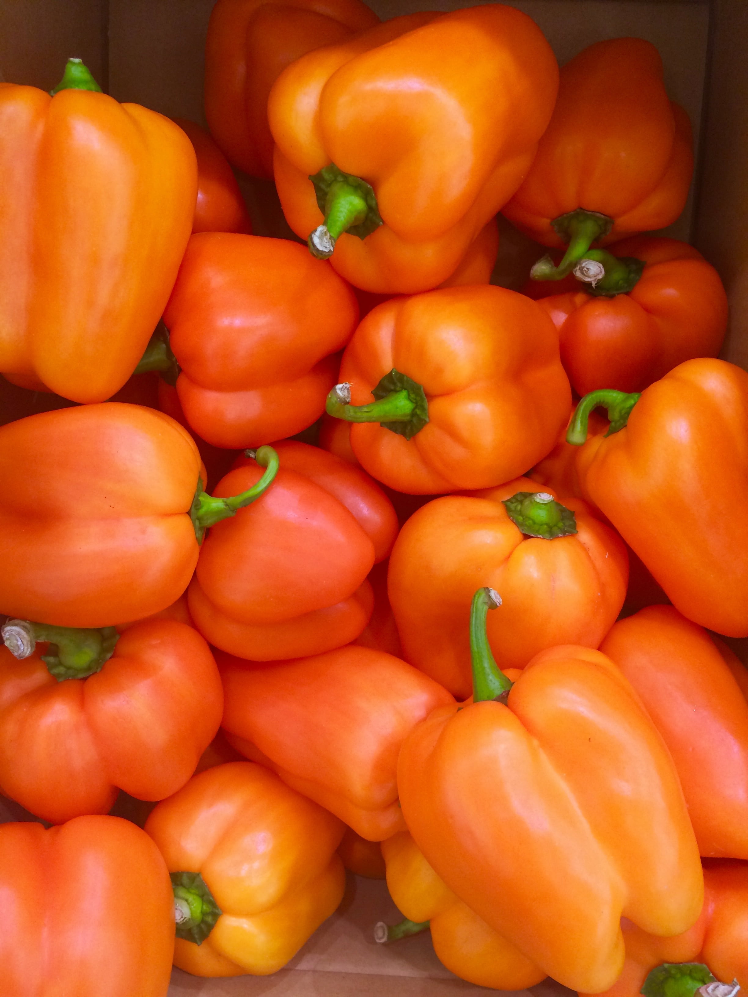 wellbeing, vegetables, freshness, abundance, for sale, bell Pepper, full frame, department, sale, no people, yellow, large group of objects, market, red, Phone HD Wallpaper