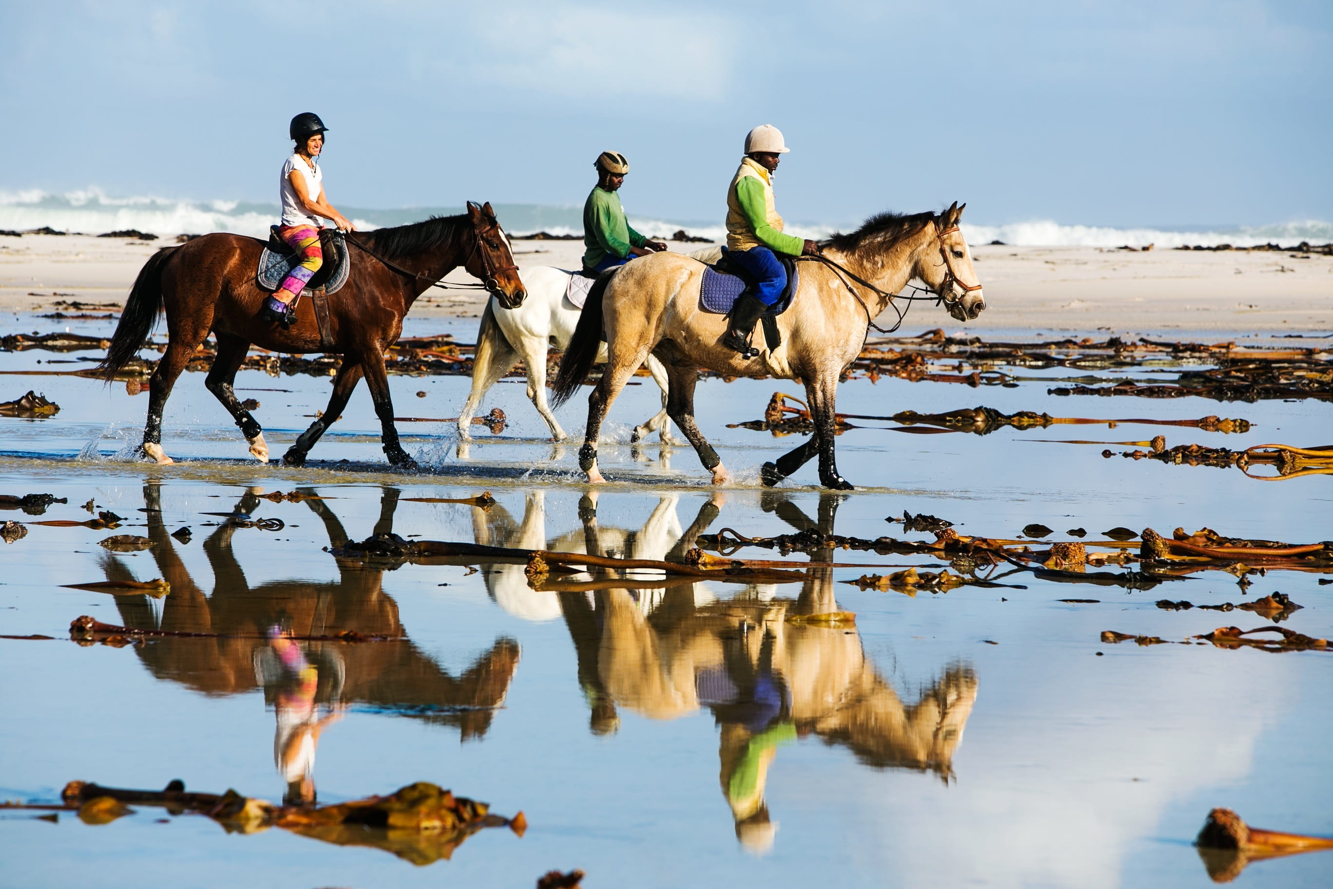 three, equestrian, animal, land, animal themes, coastline, beach ride, livestock, horse ride, domestic, horseback, vertebrate, sport, daytime, 2K, men, HD Wallpaper