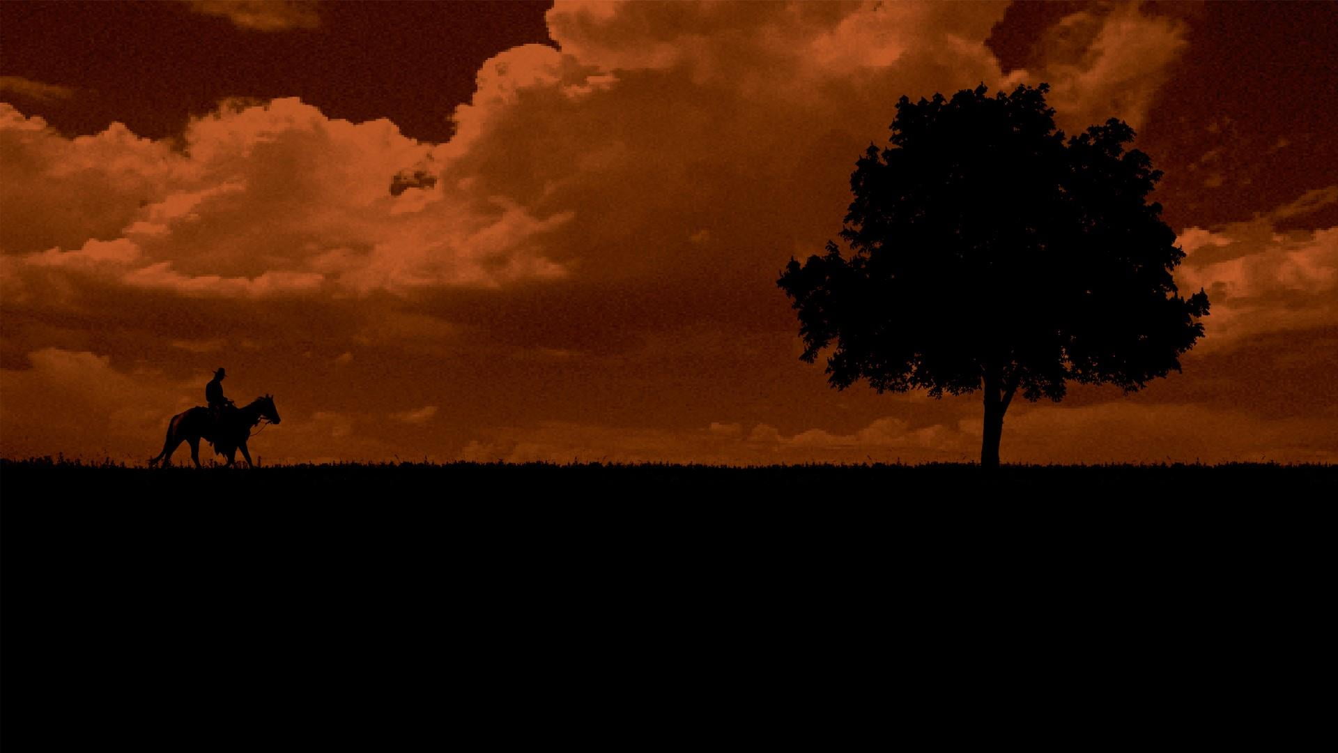 animal wildlife, 1080P, domestic, animal, mammal, silhouette, landscape, environment, cloud - sky, tree, outdoors, pets, herbivorous, vertebrate, one animal, HD Wallpaper